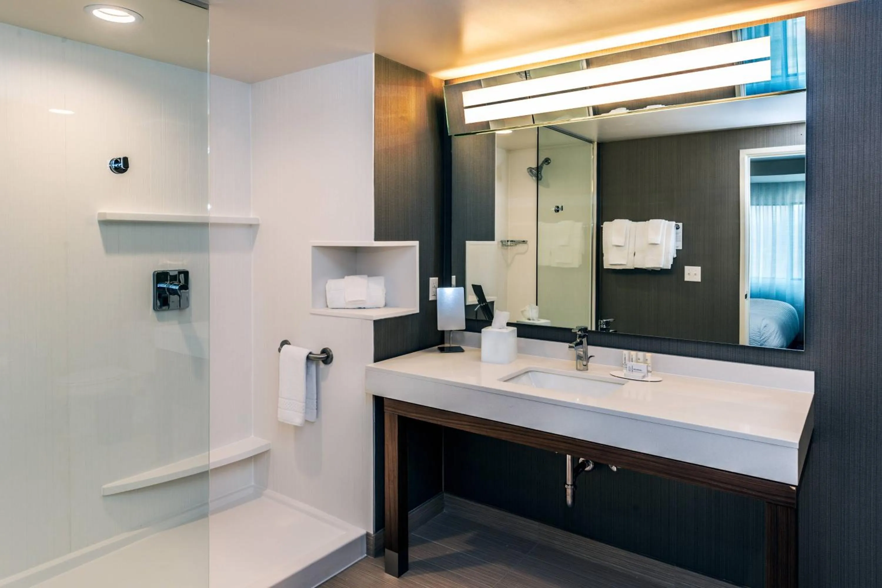Bathroom in Courtyard by Marriott Somerset