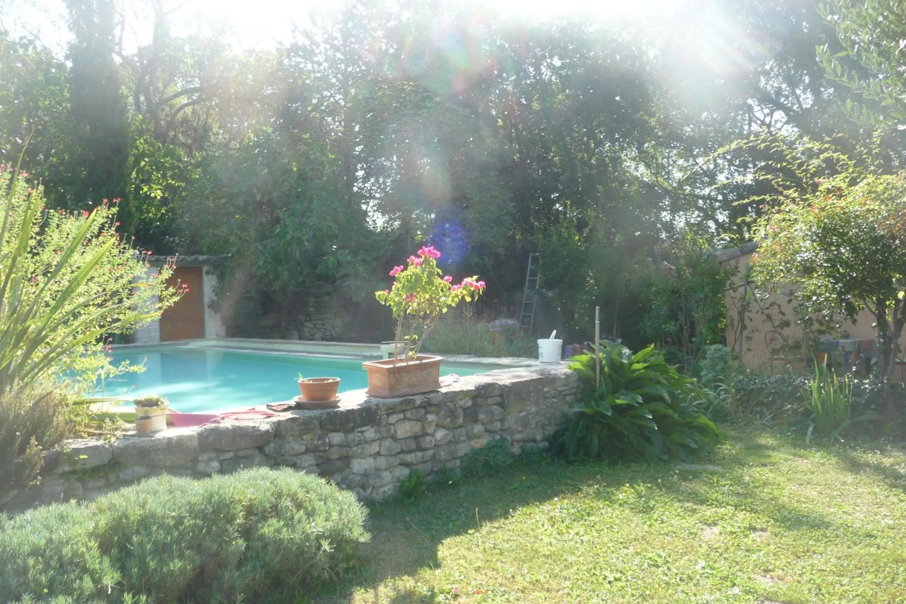 Summer in Mazet de Mô
