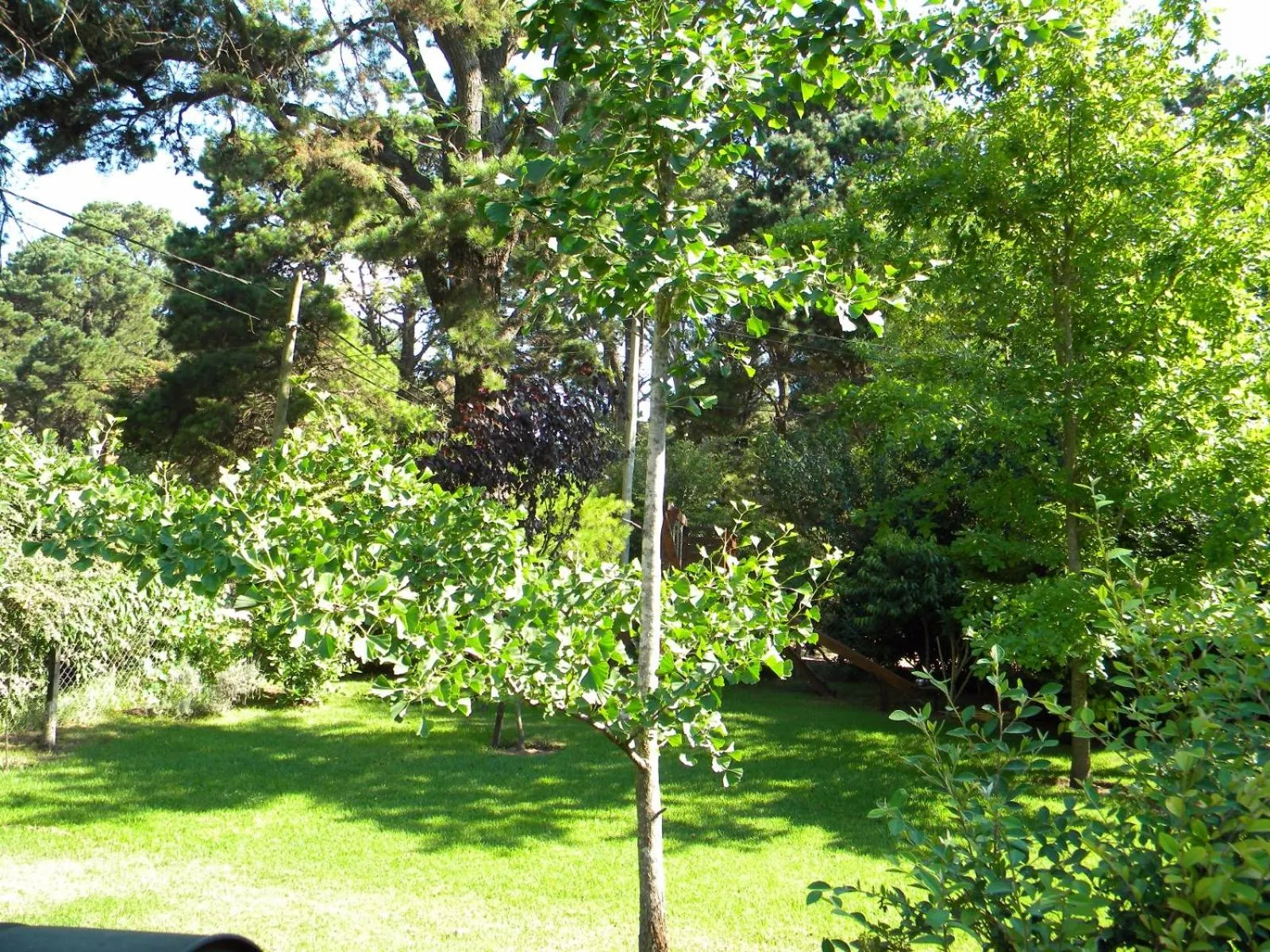 Casa los Tilos