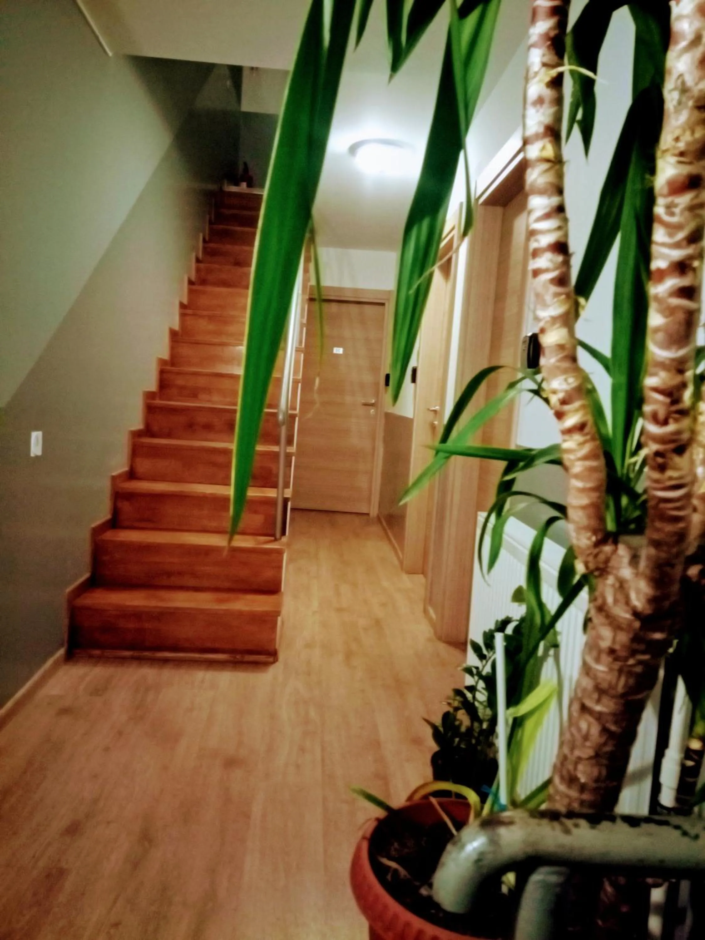 Central Guesthouse
