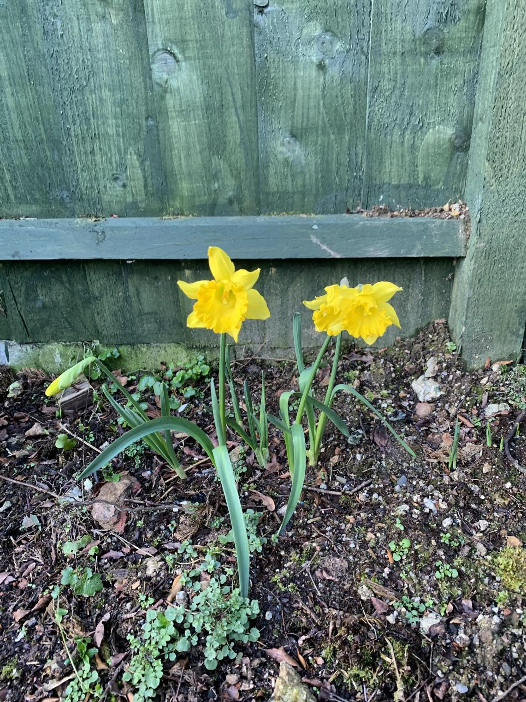 Other in The Chapel Guest House