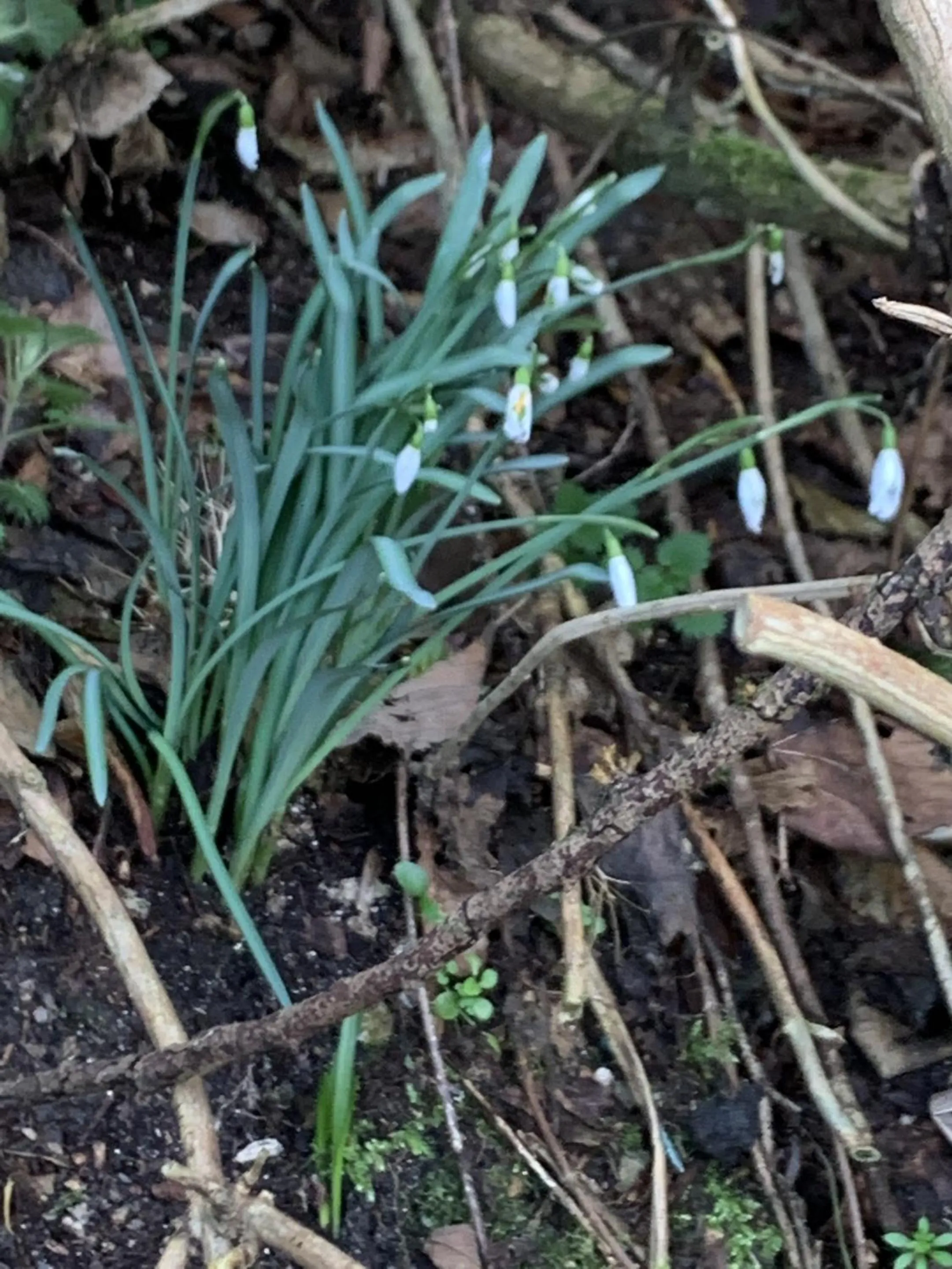 Other in The Chapel Guest House