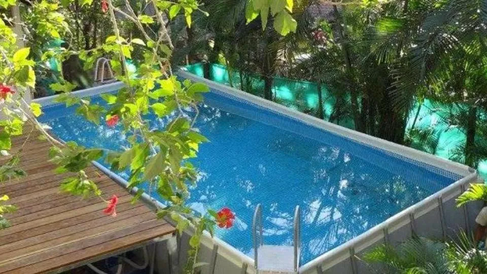 Swimming pool in Burnt Toast Surfcamp