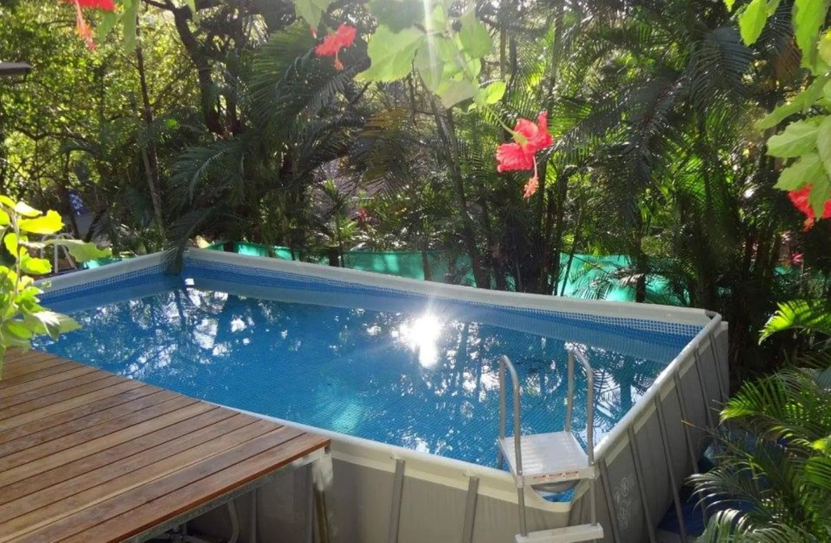 Swimming pool in Burnt Toast Surfcamp