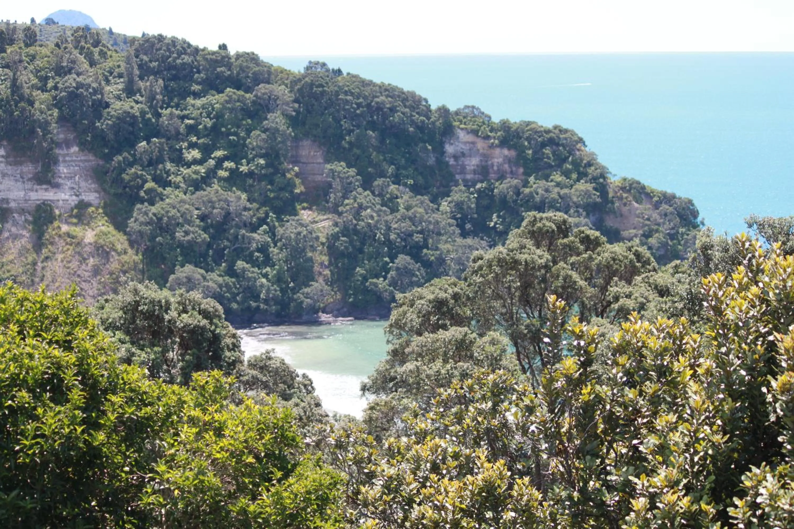 Nearby landmark in Ocean View