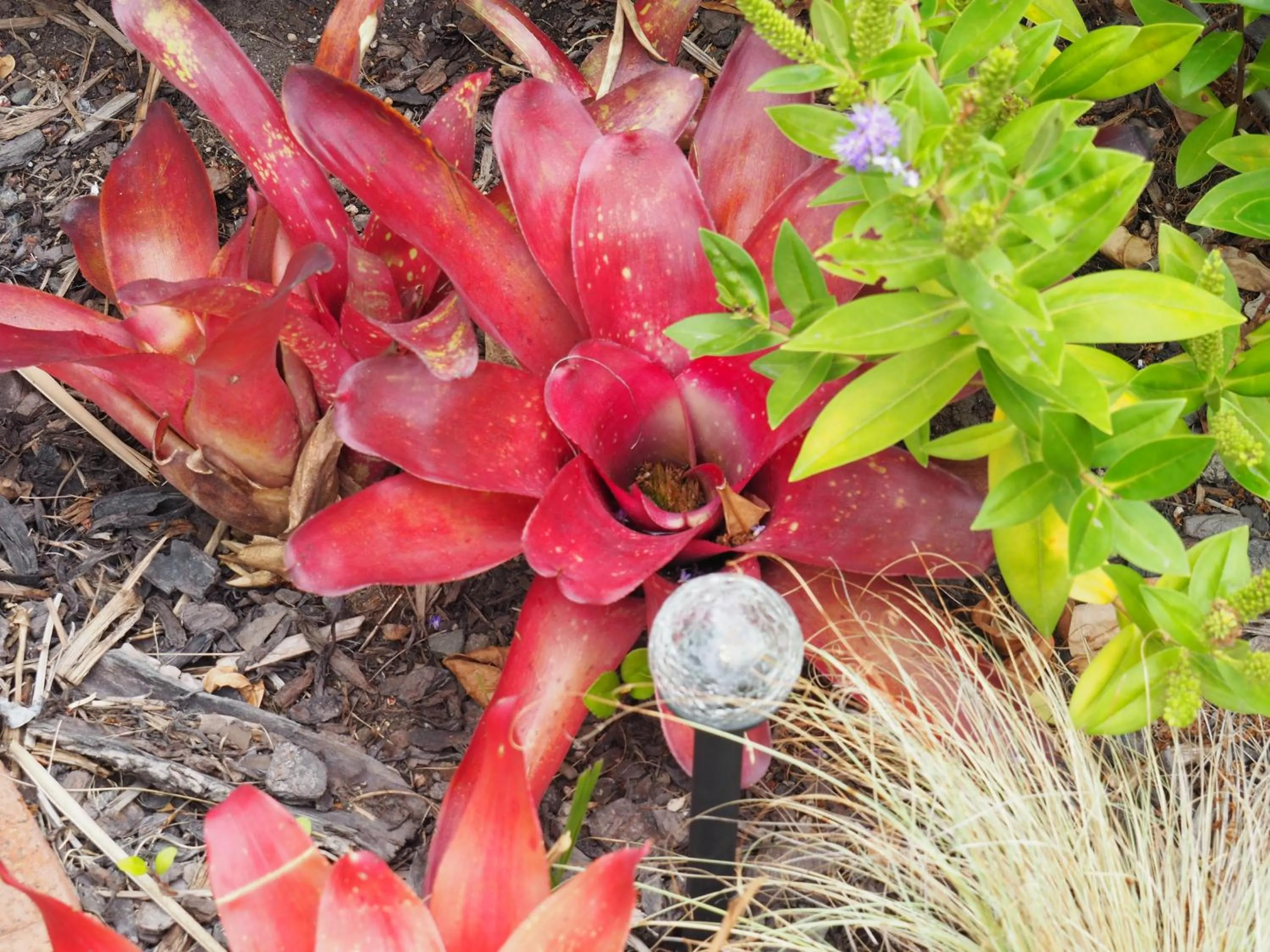 Garden view in Ocean View