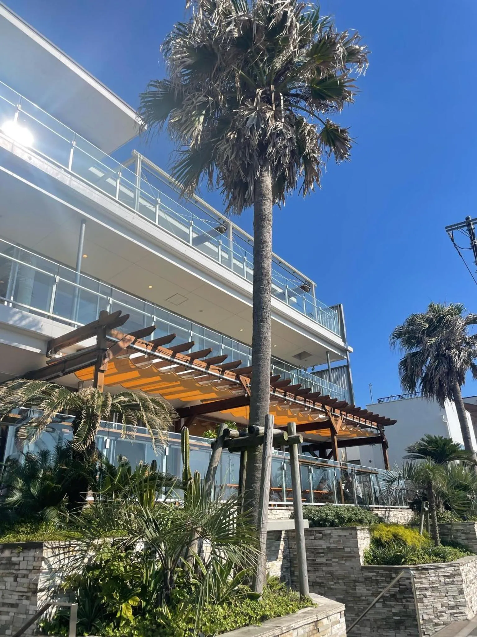 GOOD MORNING ZAIMOKUZA