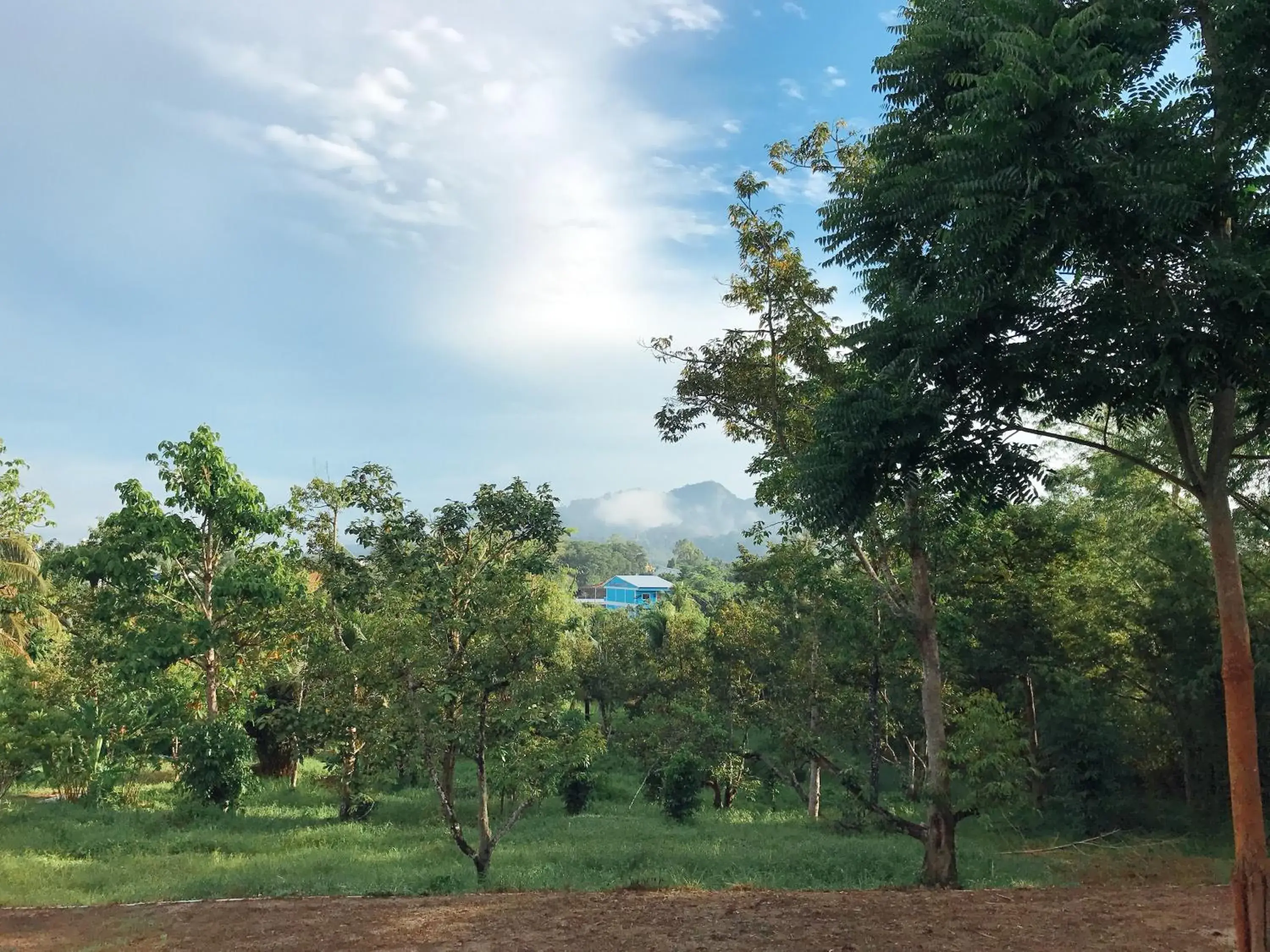 Garden view in The Box House Garden view in The Box House