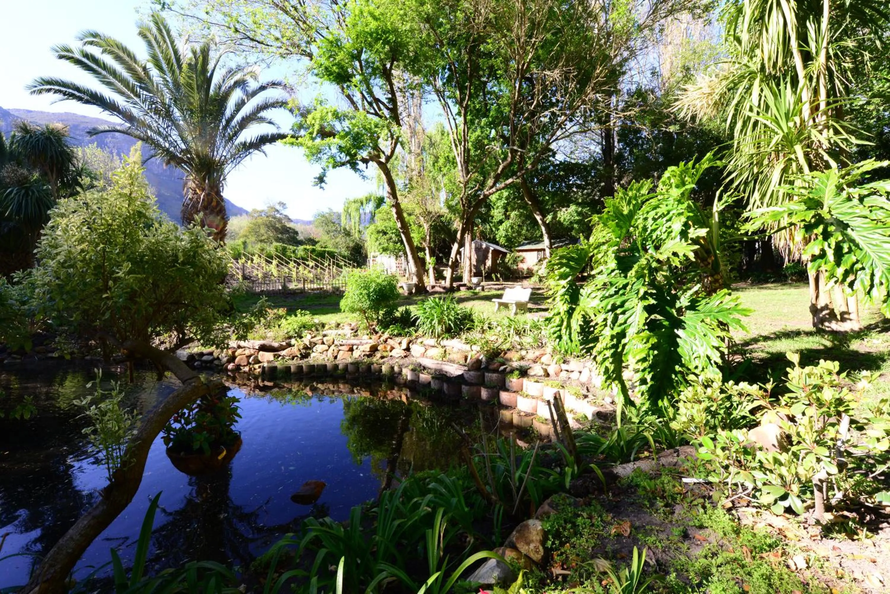 Garden in Waterland Lodge