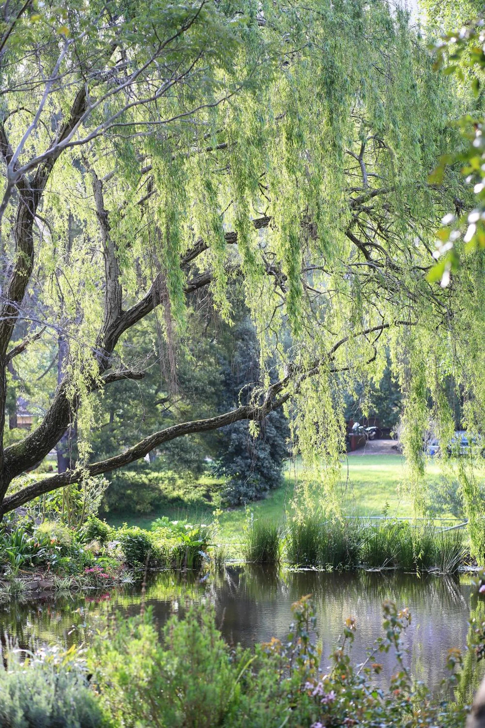 Garden in Waterland Lodge