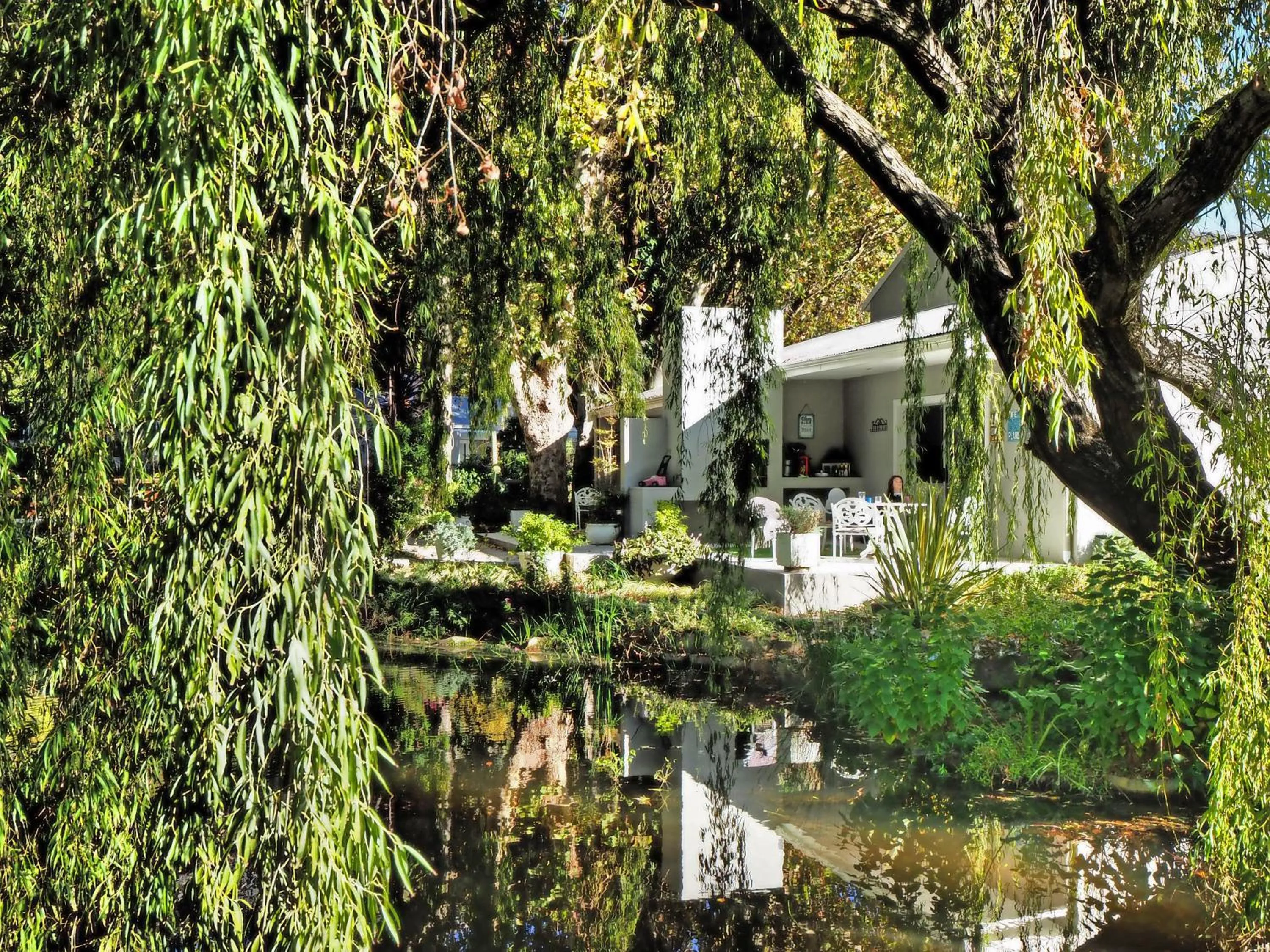 Garden view in Waterland Lodge