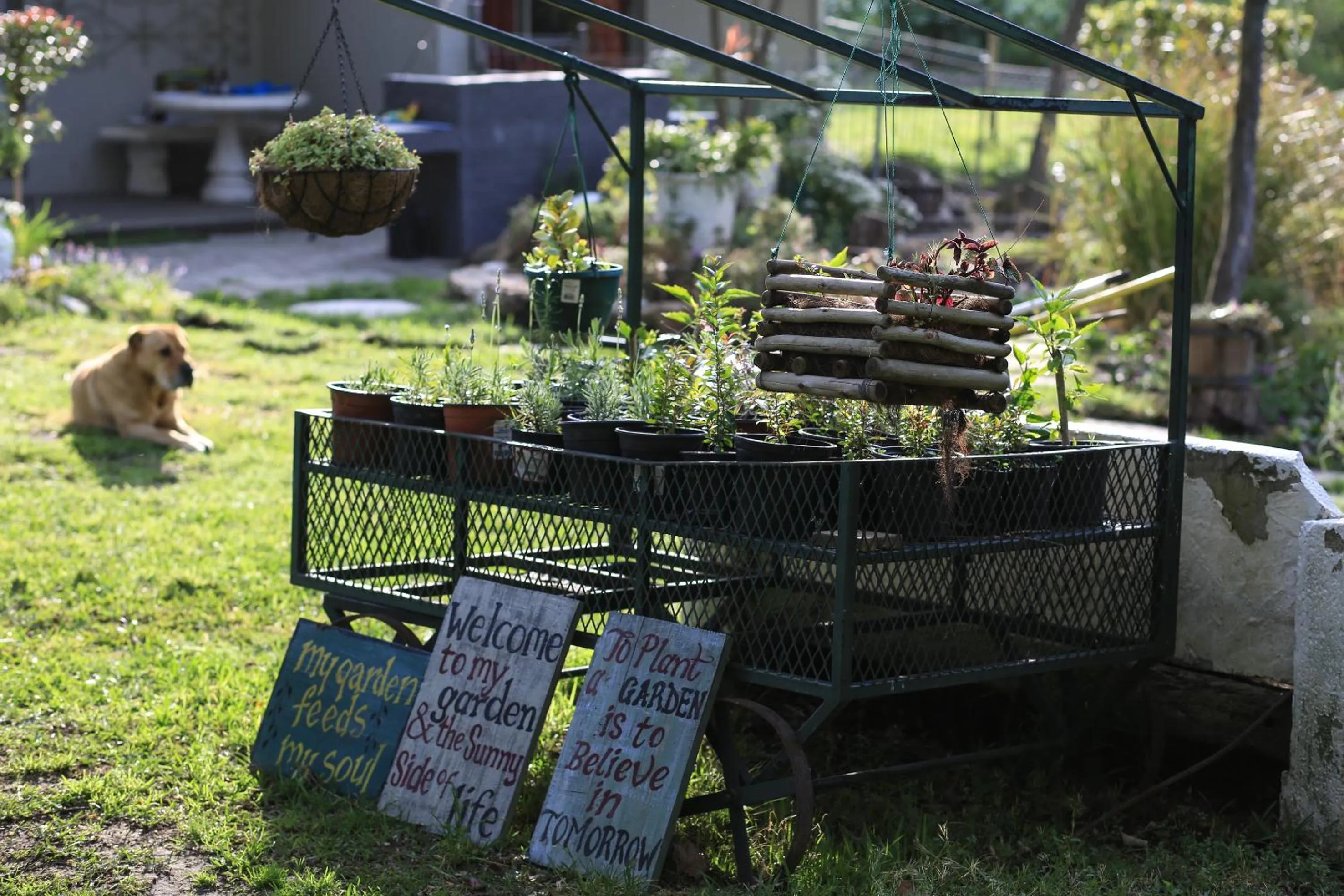 Garden in Waterland Lodge