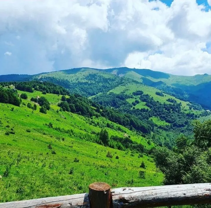 Vila Dizdarevic Kopaonik