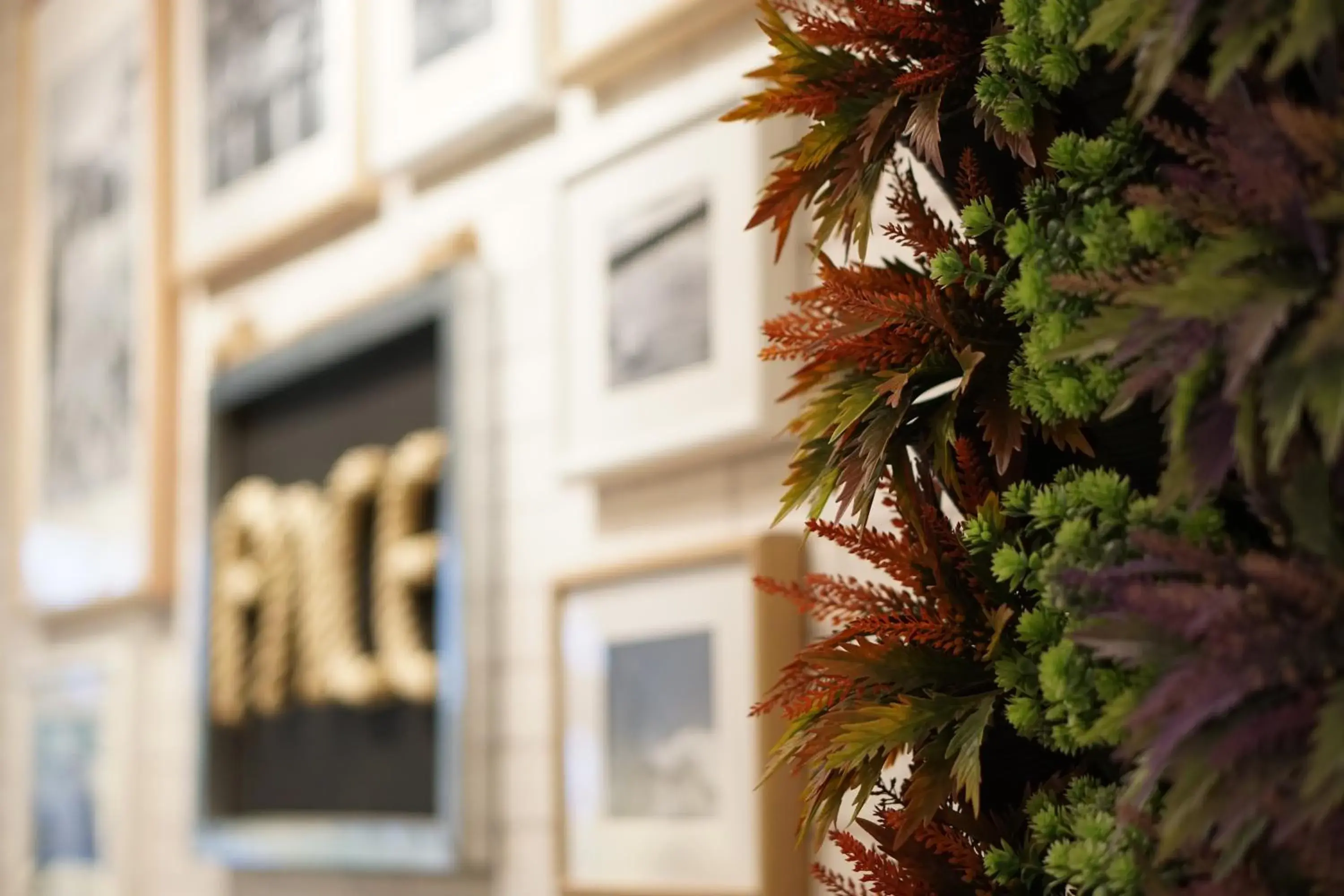 Lobby or reception in Pace Residence Pattaya Lobby or reception in Pace Residence Pattaya