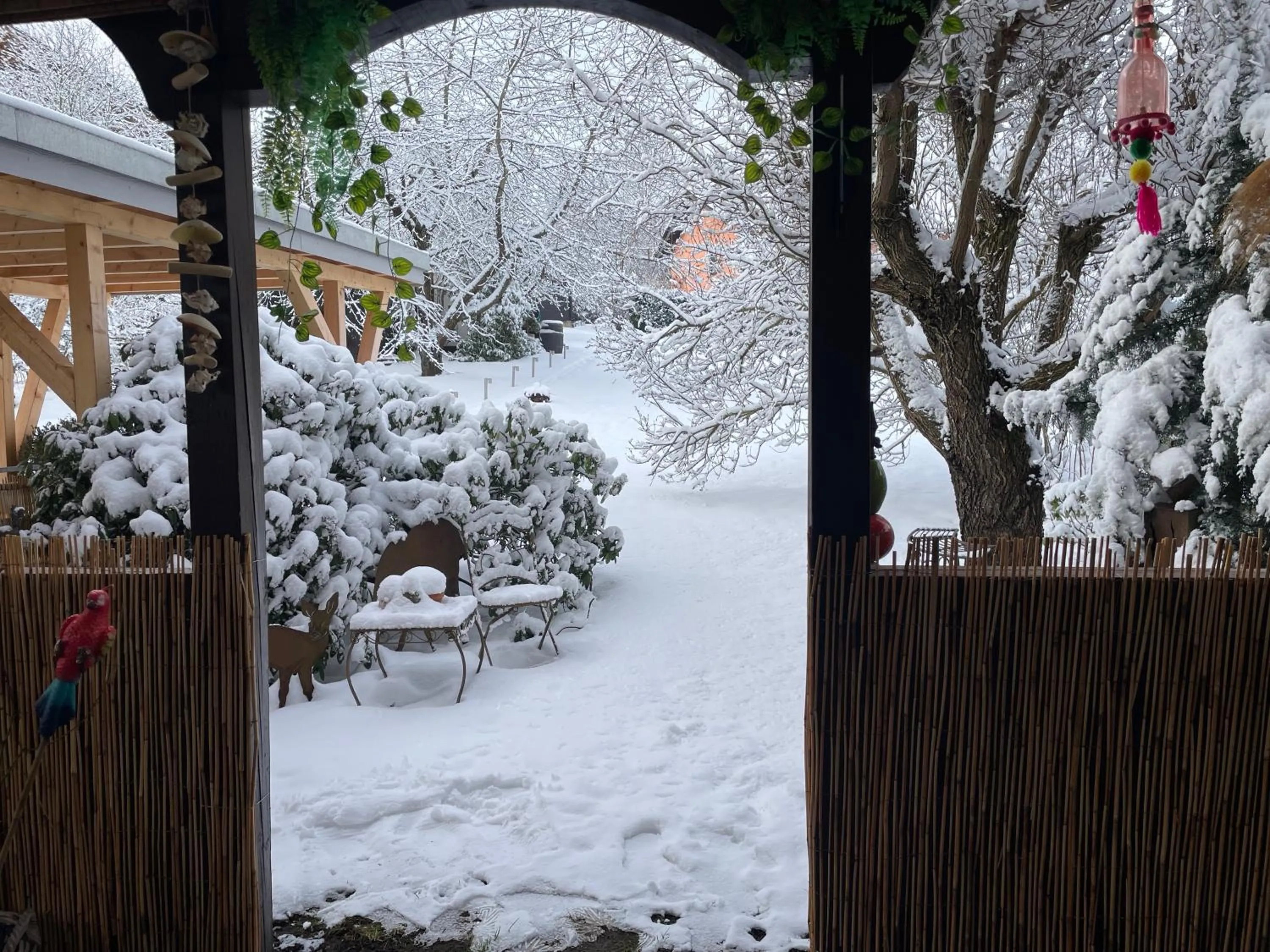 View (from property/room) in Gästehaus Köhler