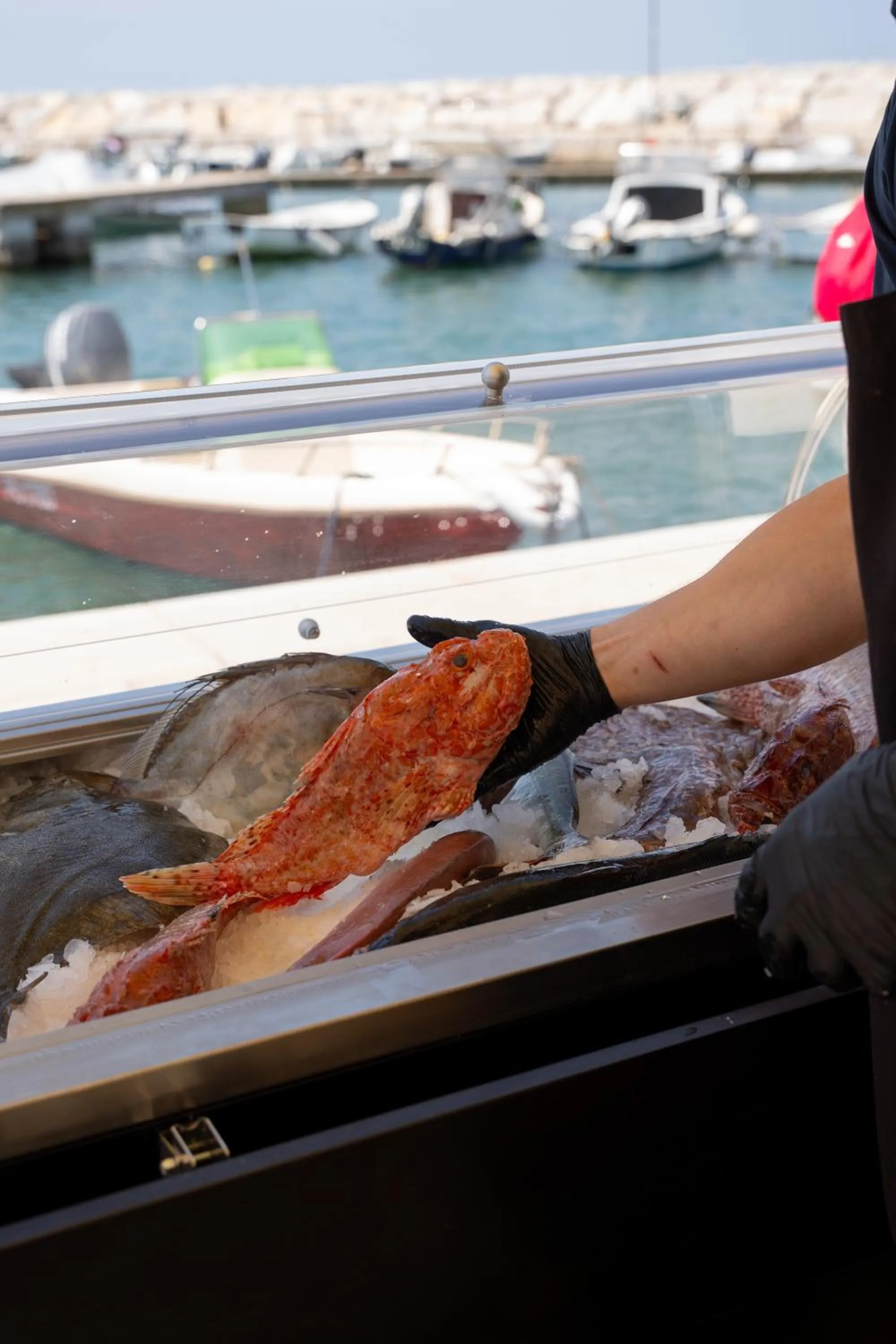 Restaurant/places to eat in Hotel Marina