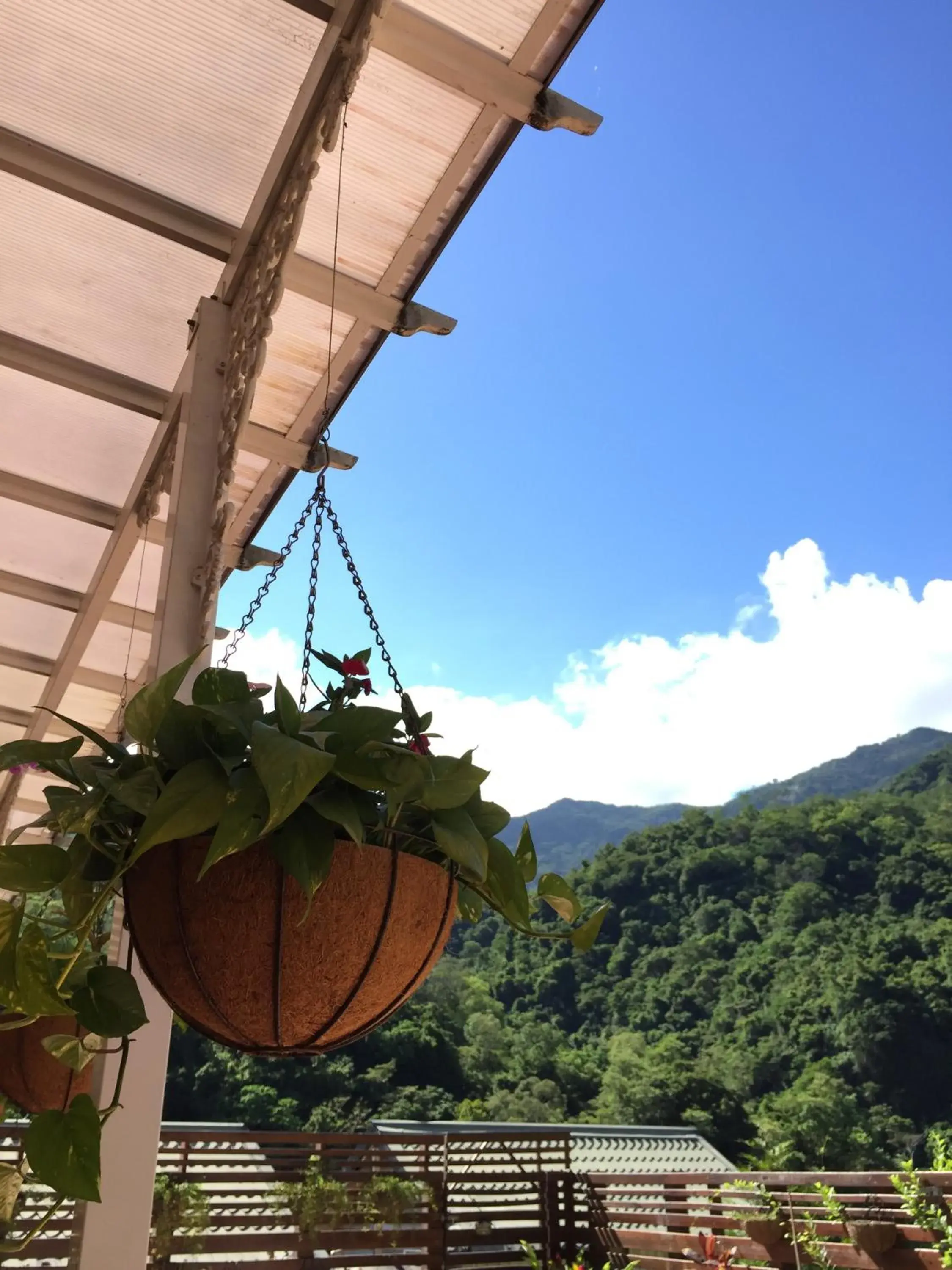 Garden view in Cheng-Ping Hot Spring Inn Garden view in Cheng-Ping Hot Spring Inn