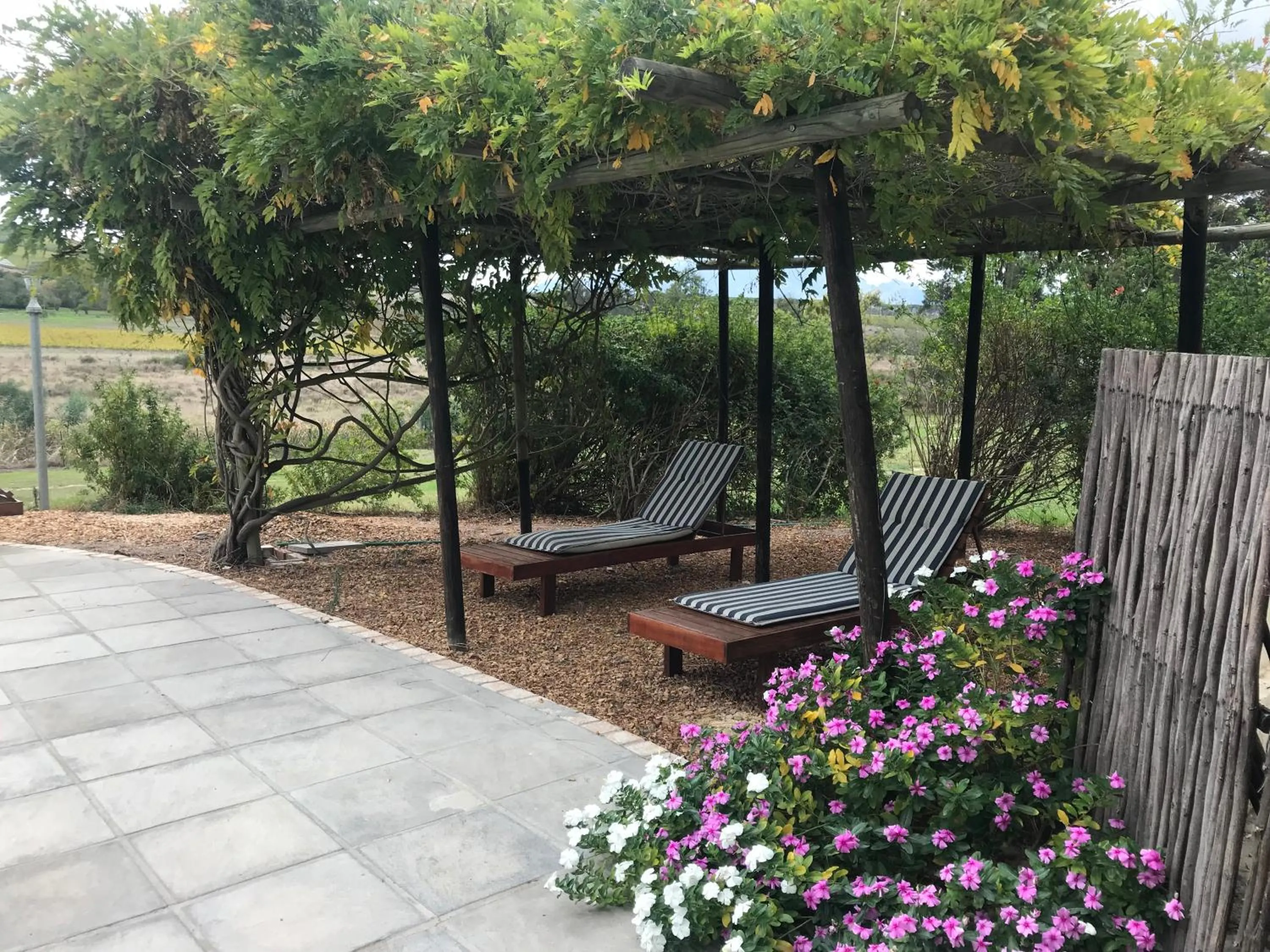 Garden in Lauradale Accommodation