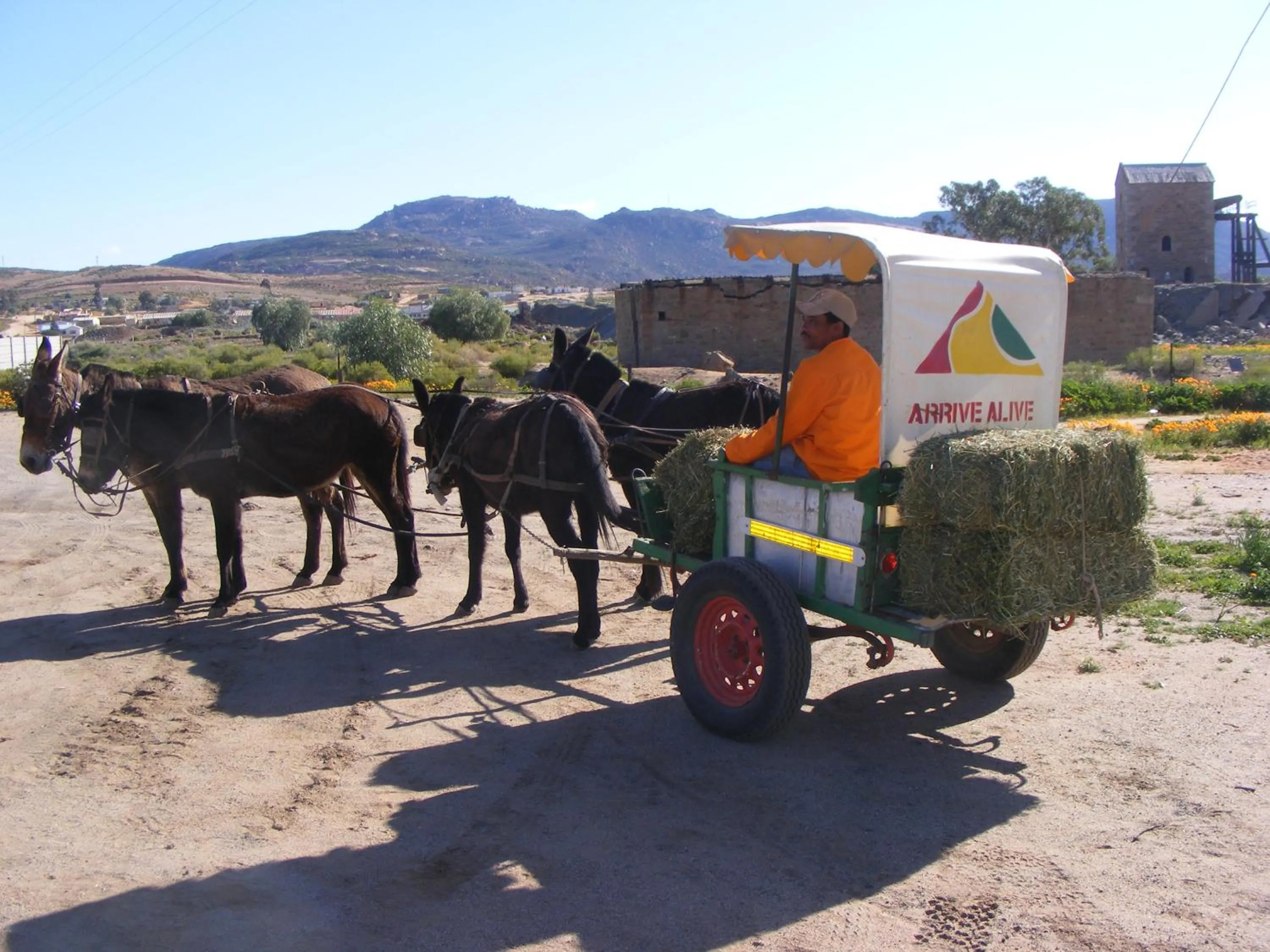 Decorative detail in Okiep Country Hotel
