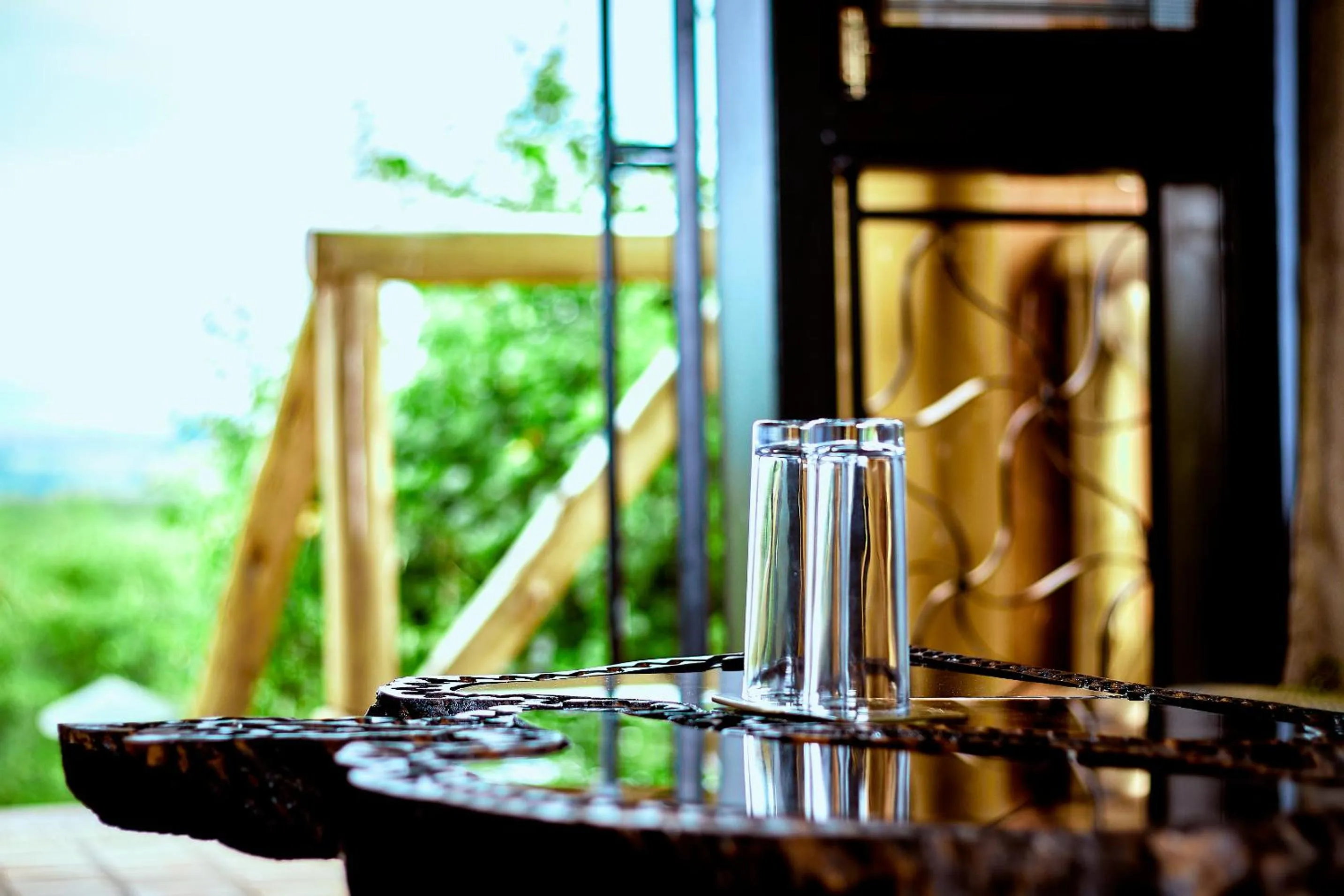 View (from property/room) in Buffalo Safari Lodge