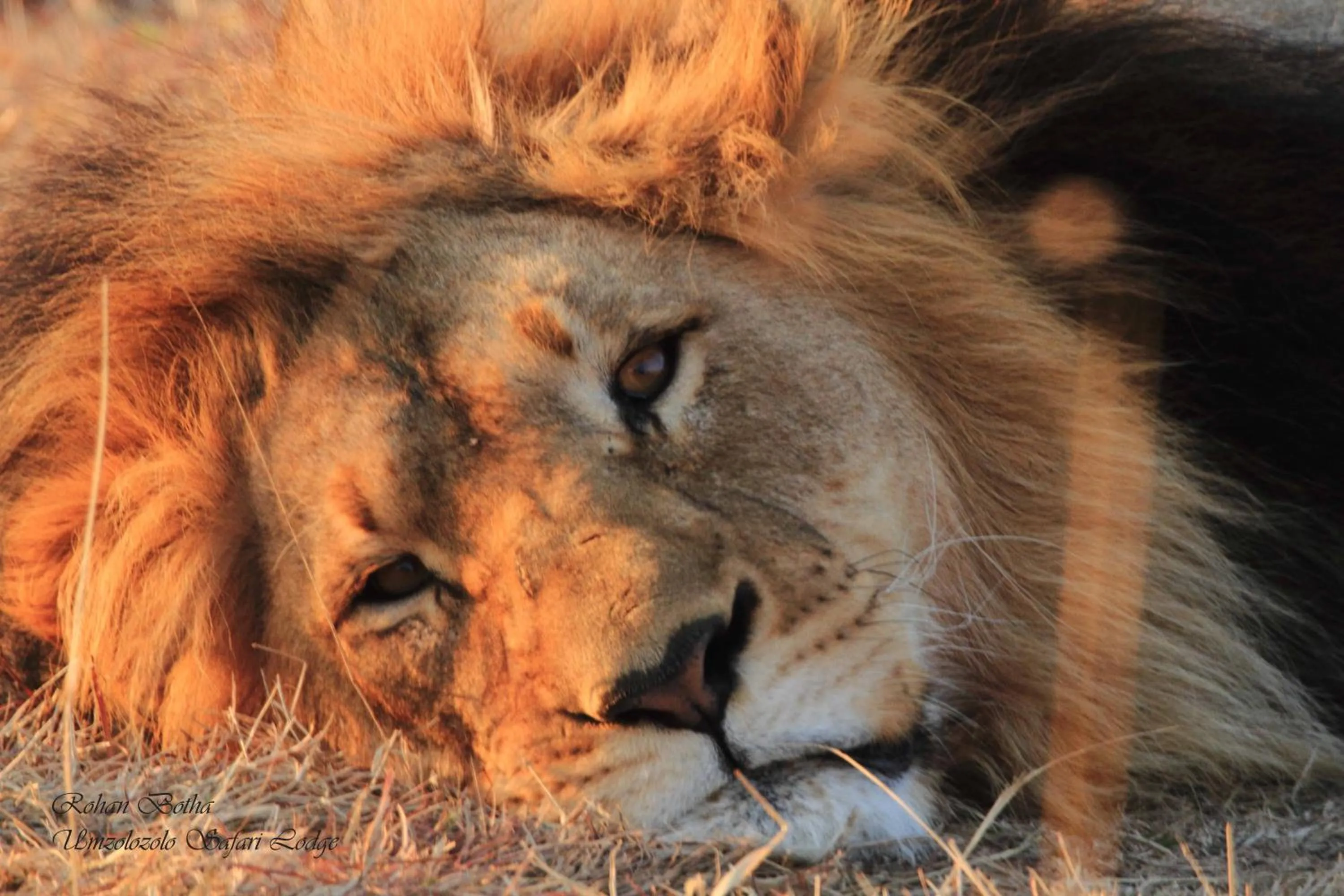 Umzolozolo Private Safari Lodge & Spa