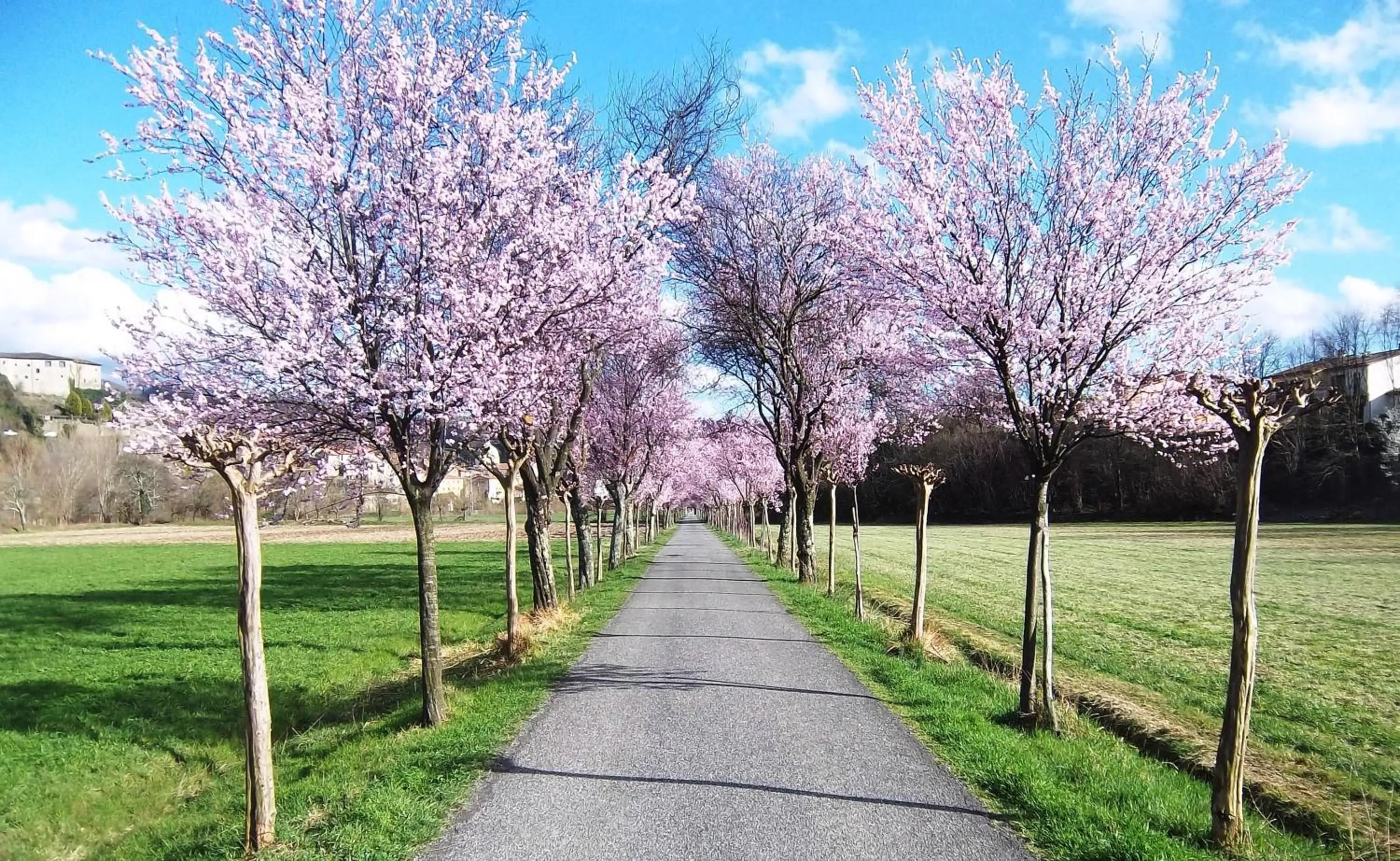 Spring in Ai Chiosi affittacamere