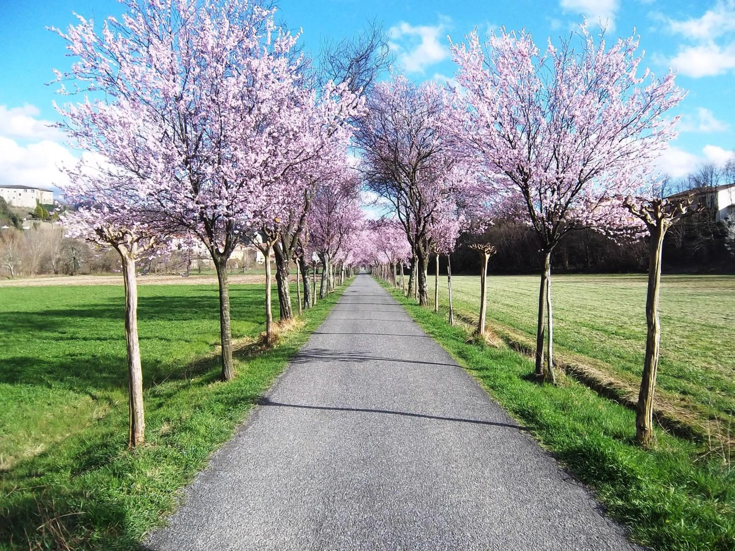 View (from property/room) in Ai Chiosi affittacamere