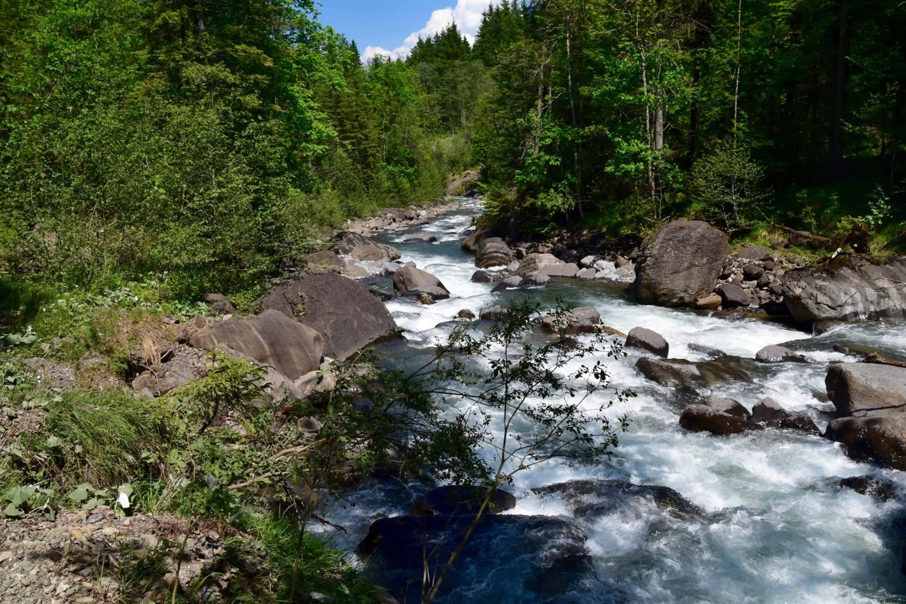 Natural landscape in Hotel Gretina