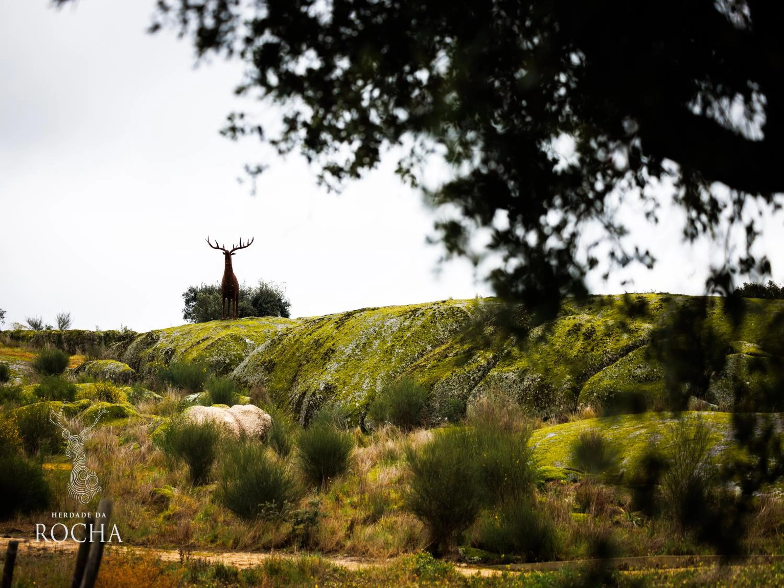Nearby landmark in Herdade da Rocha - Boutique Lodge