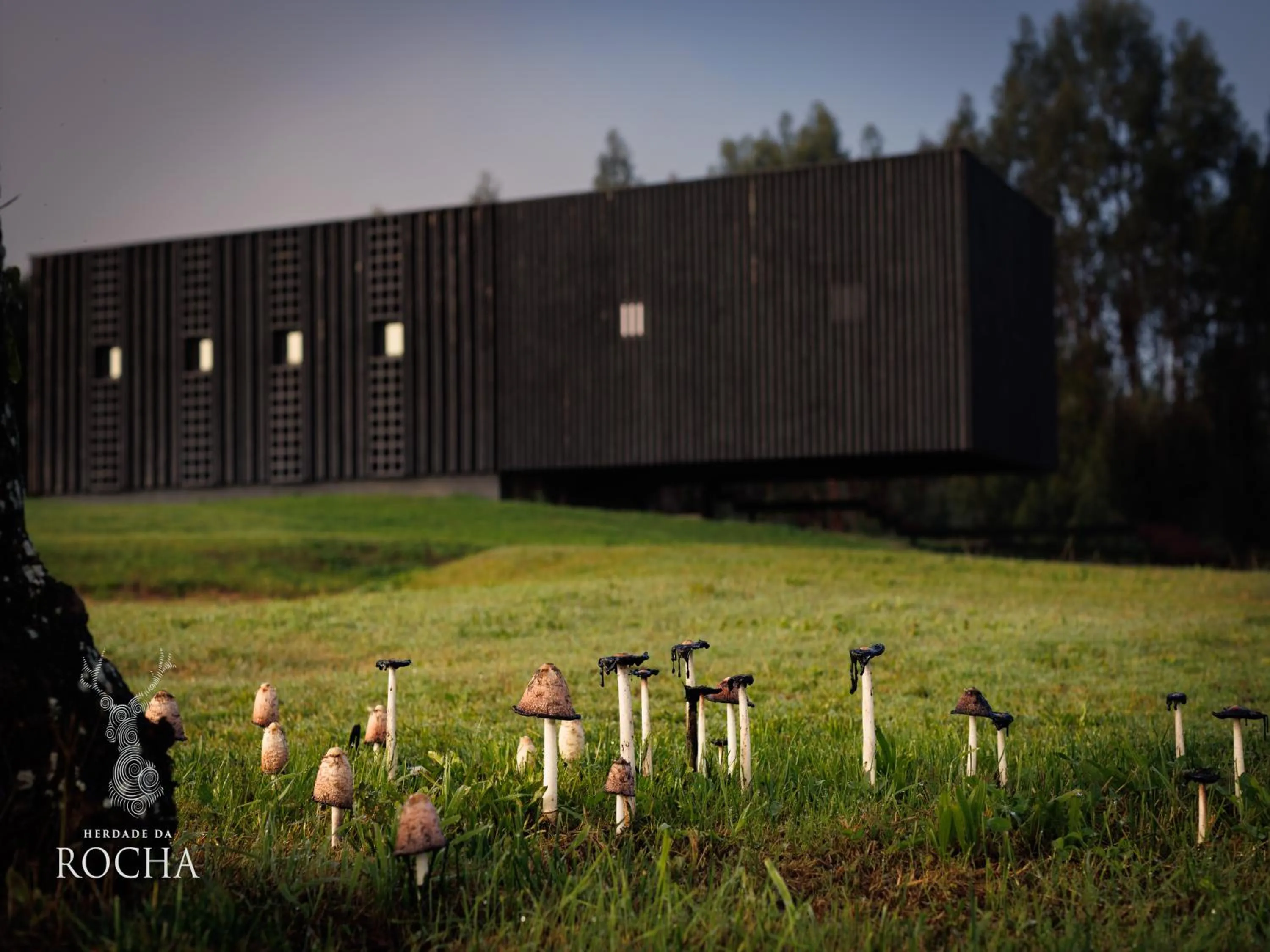 Natural landscape in Herdade da Rocha - Boutique Lodge