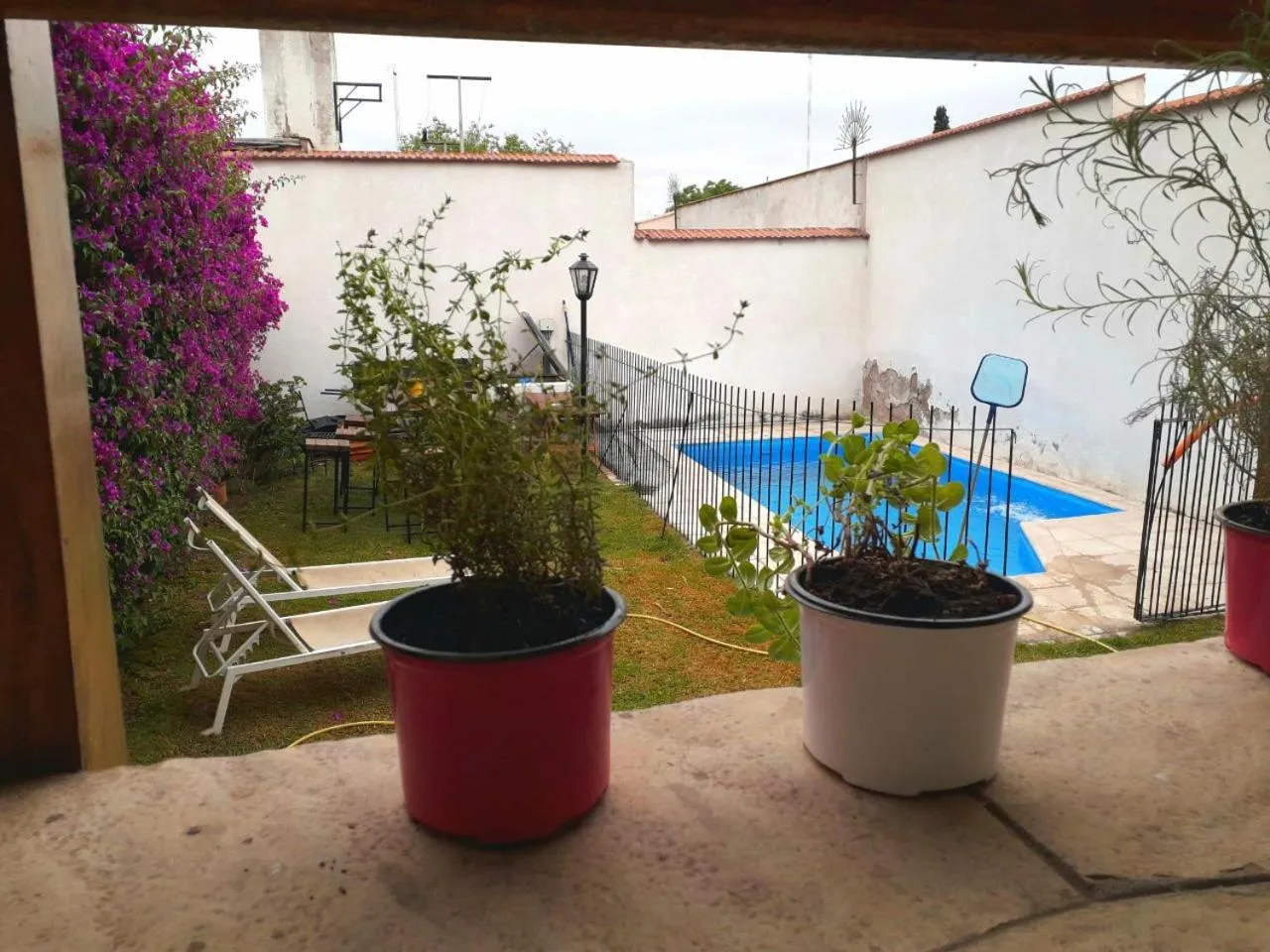 Swimming pool in Tanino Guest House
