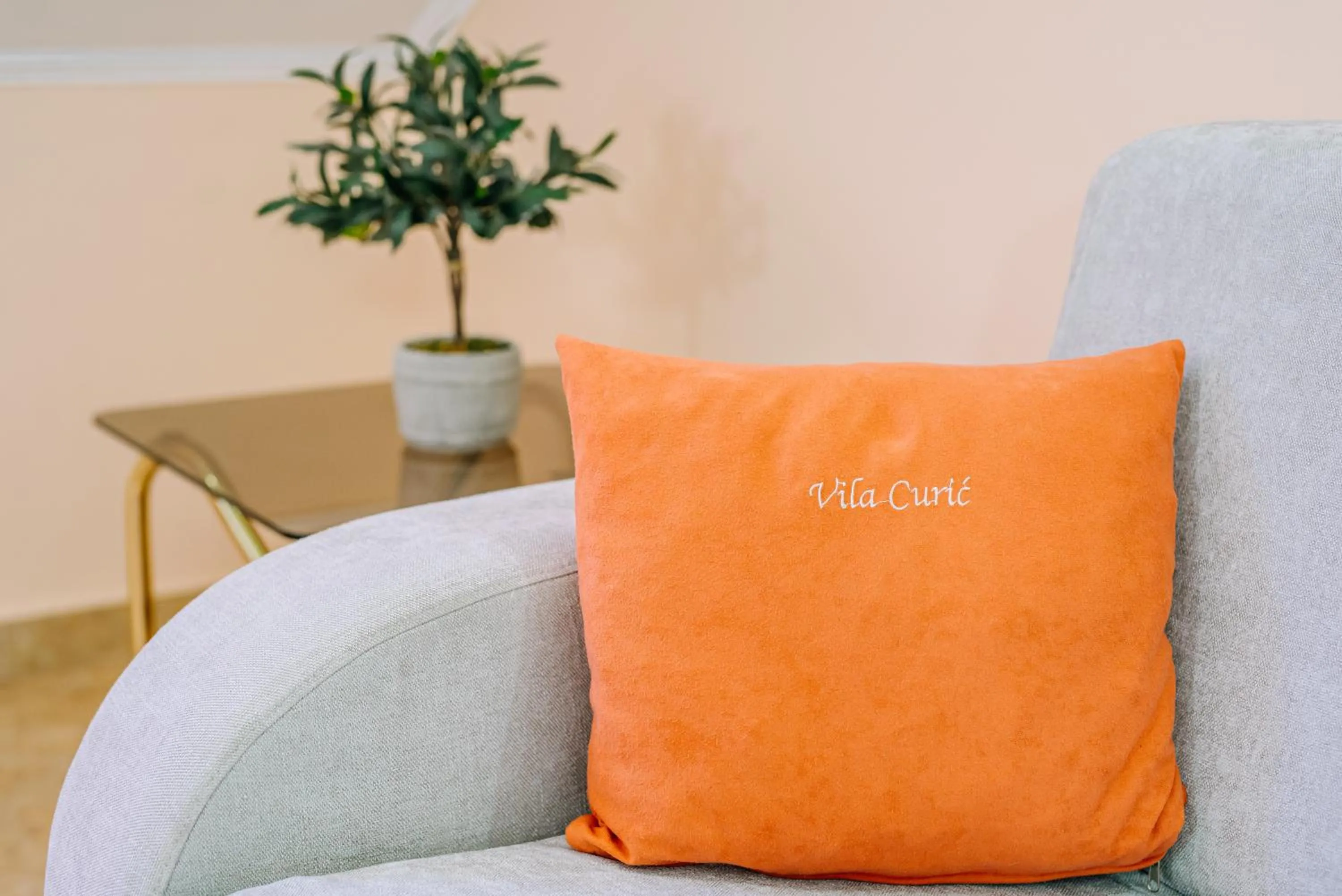 Living room in Vila Curic