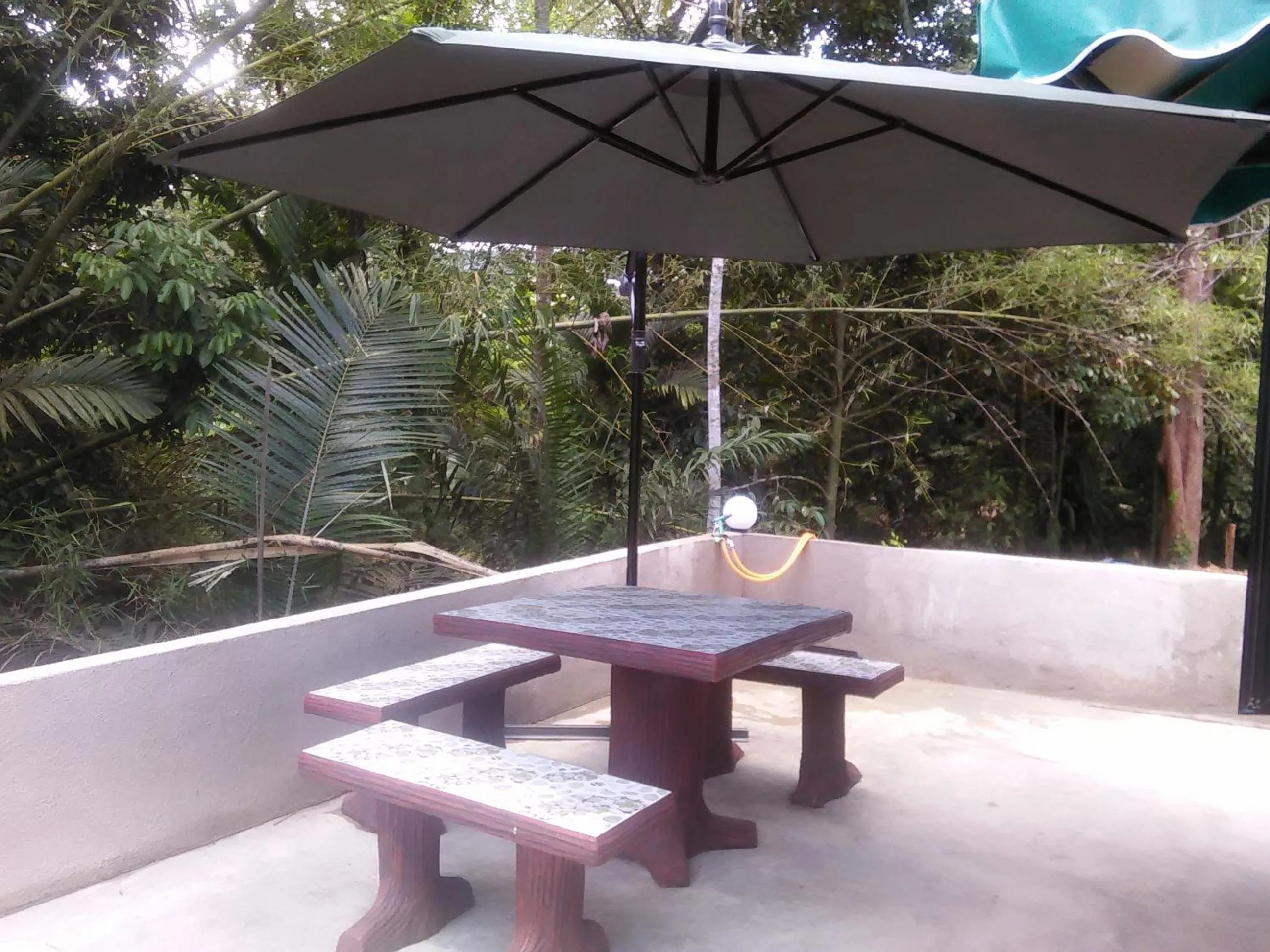 Green Peace Sungai Lembing