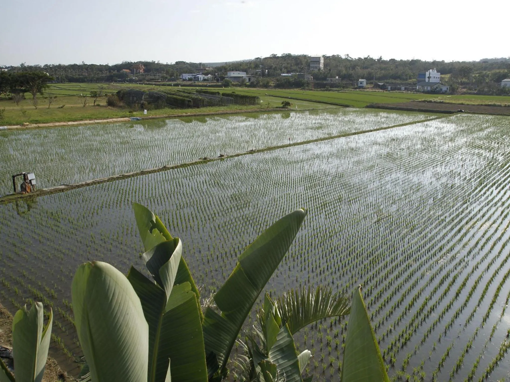 View (from property/room) in Beras Manor Kenting