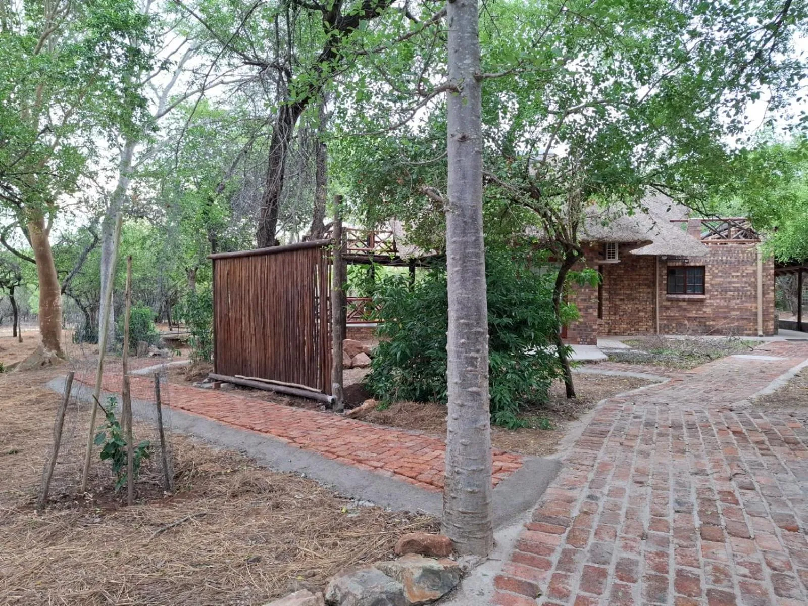 Kruger Riverside Lodge - No Load-shedding