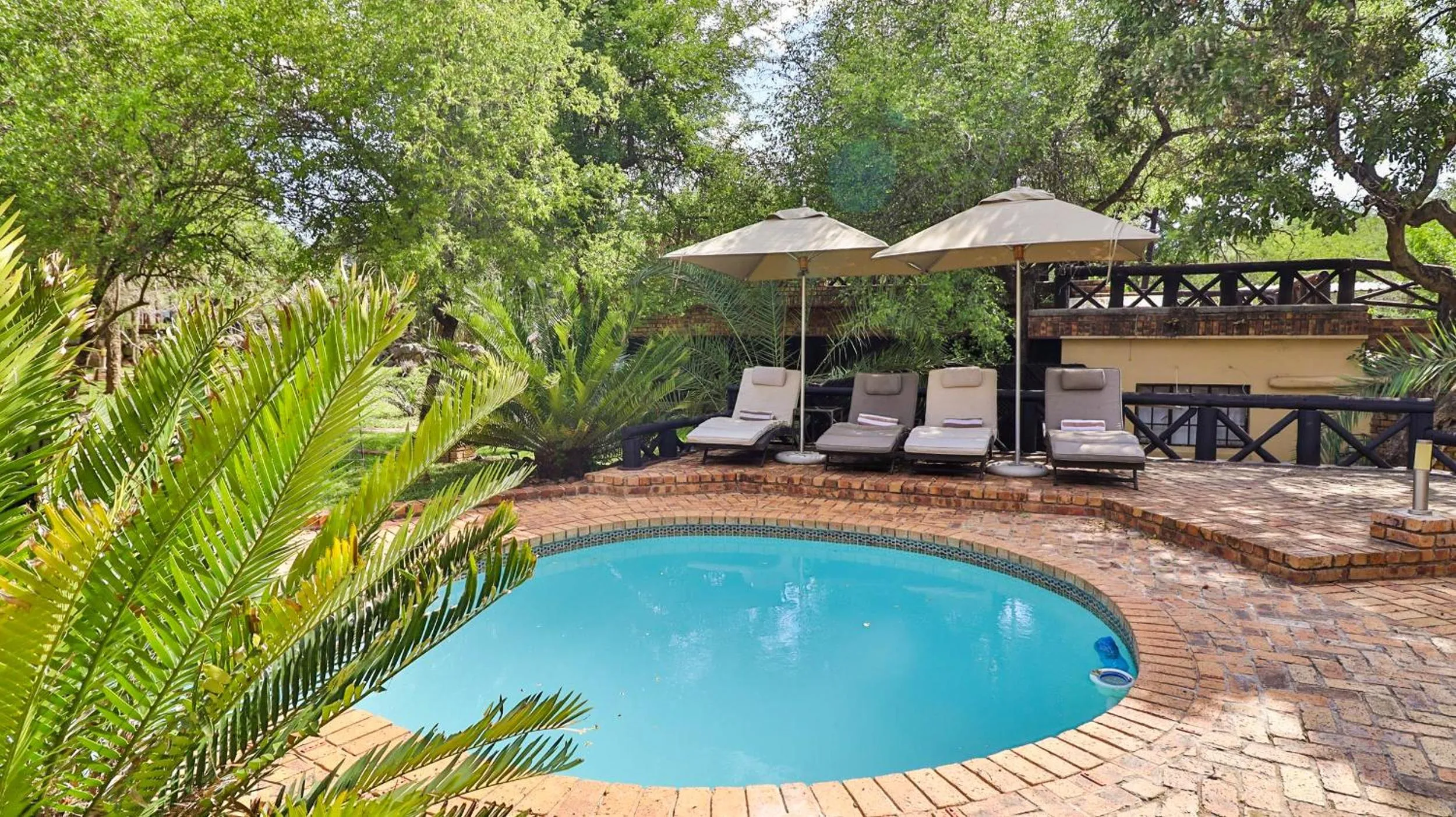 Swimming pool in Kruger Riverside Lodge - No Load-shedding