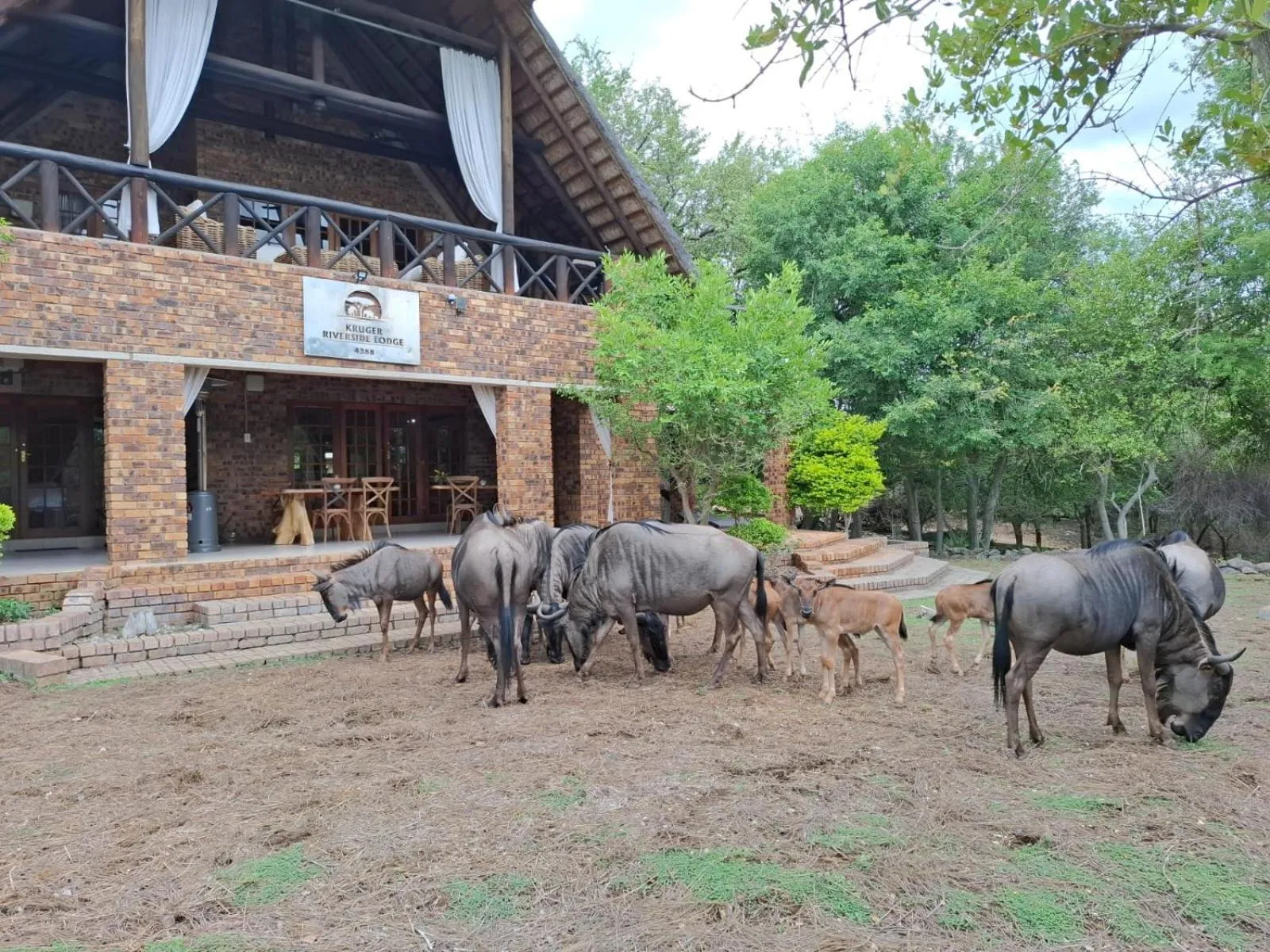 Kruger Riverside Lodge - No Load-shedding