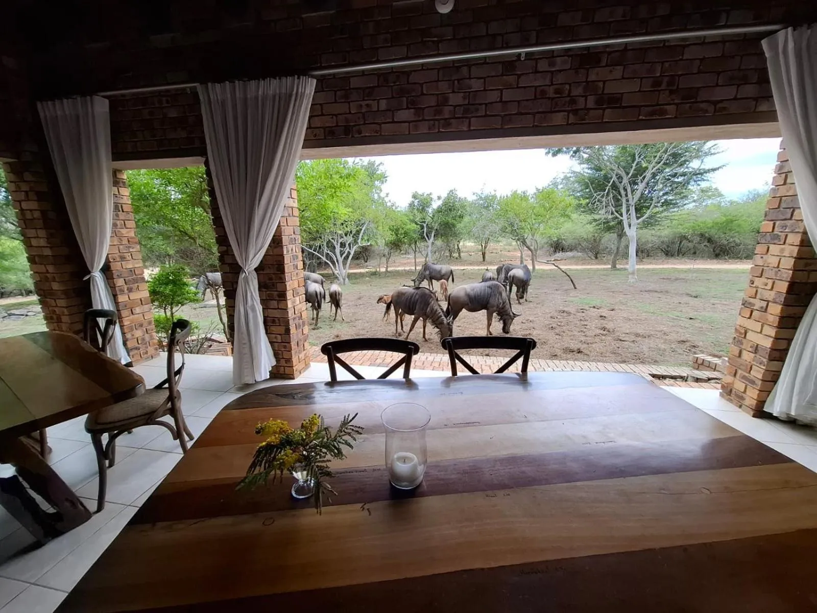 Kruger Riverside Lodge - No Load-shedding