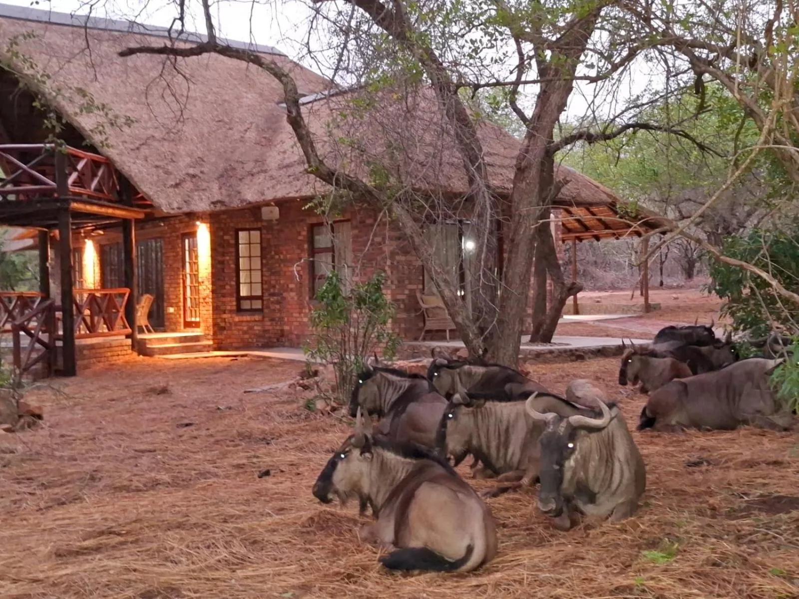 Kruger Riverside Lodge - No Load-shedding