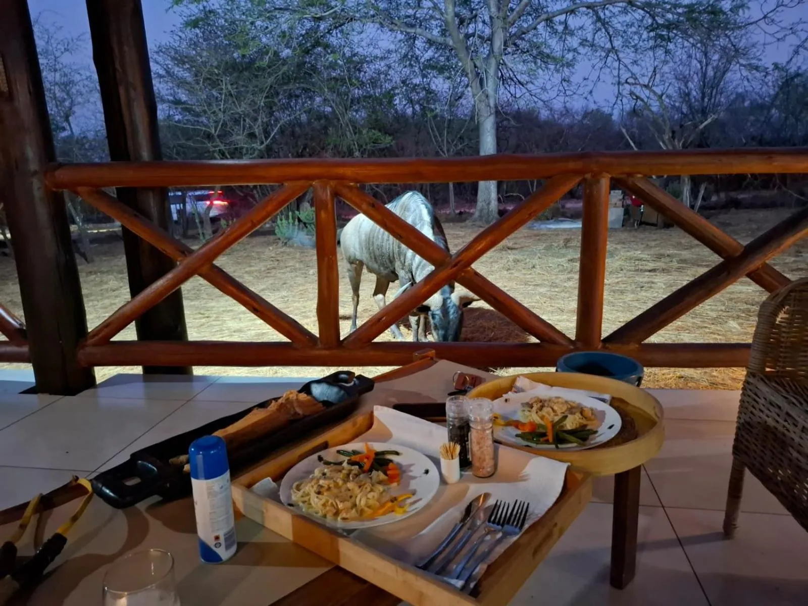 Kruger Riverside Lodge - No Load-shedding