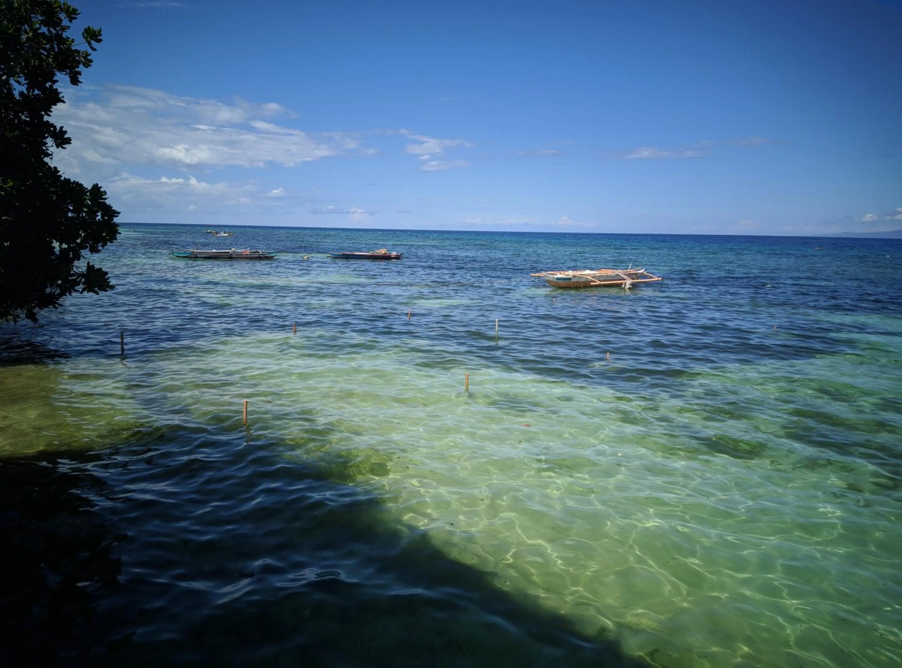 Beach in Ocean View Lodging House