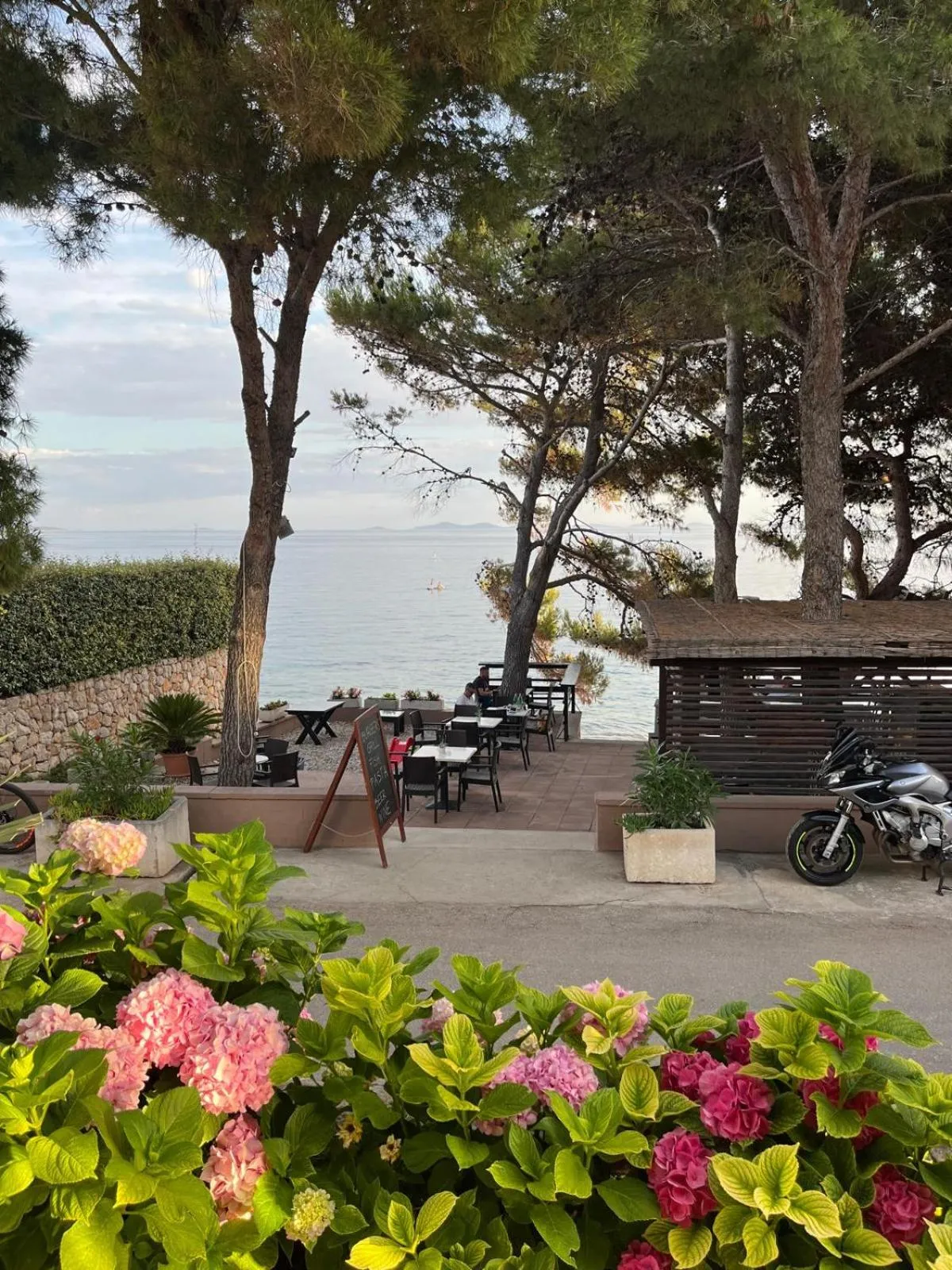 View (from property/room) in Hotel Ana Murter