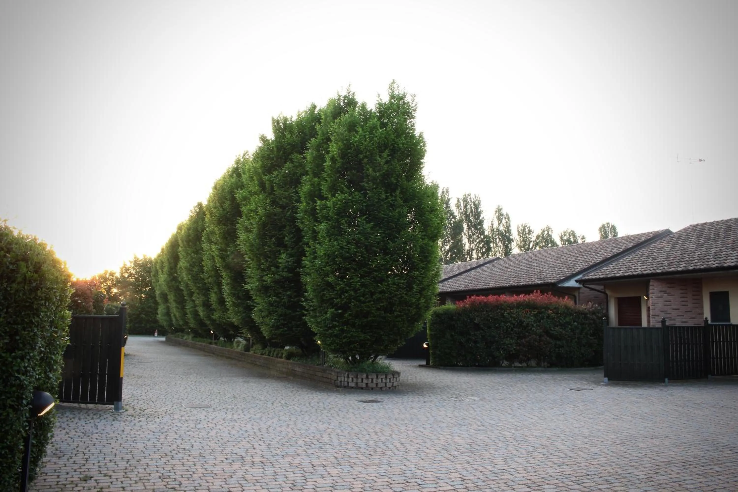 Garden in Hotel Air Bag