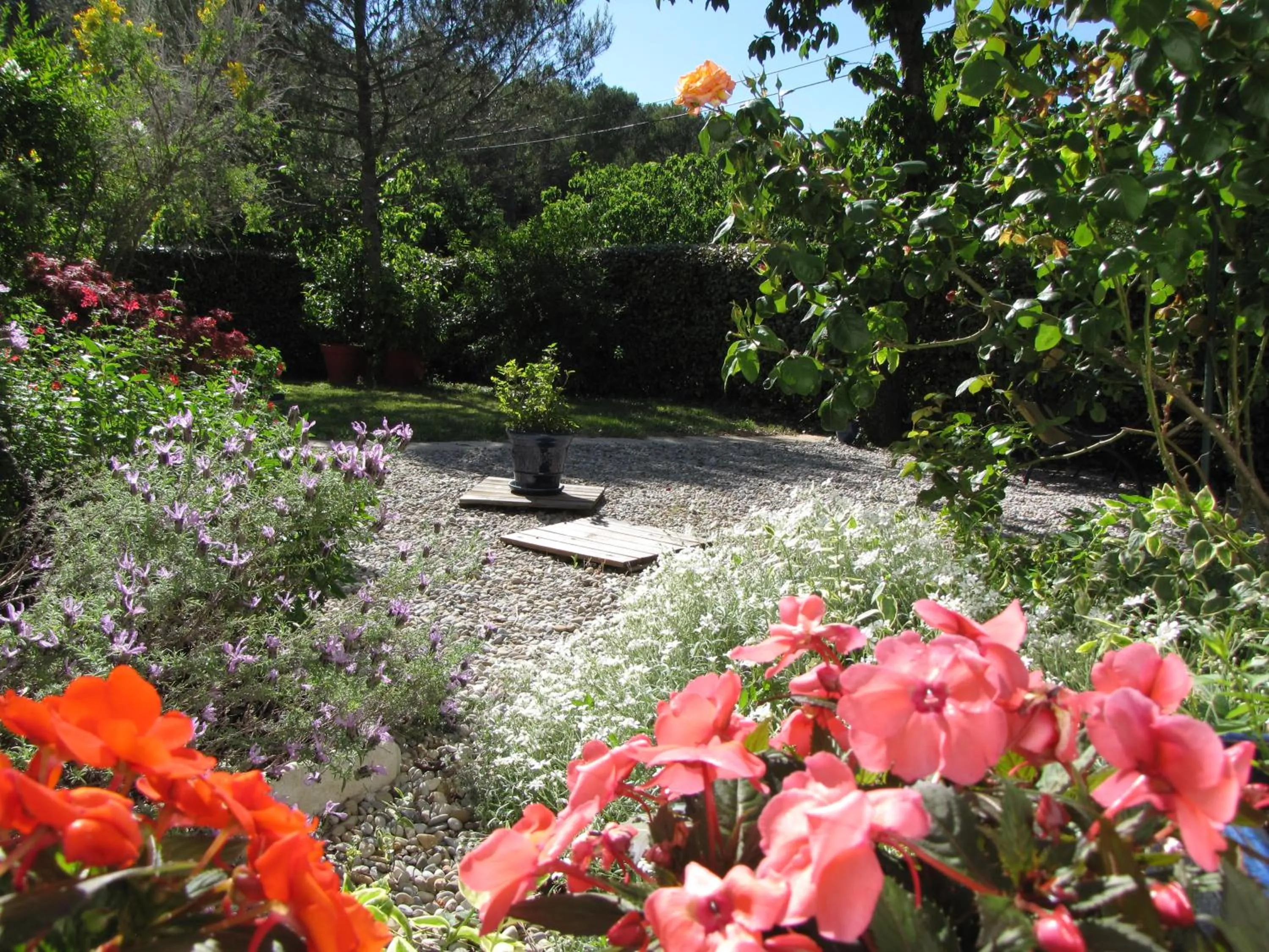 Garden in Casa Rurale Lou Pichoun Nis