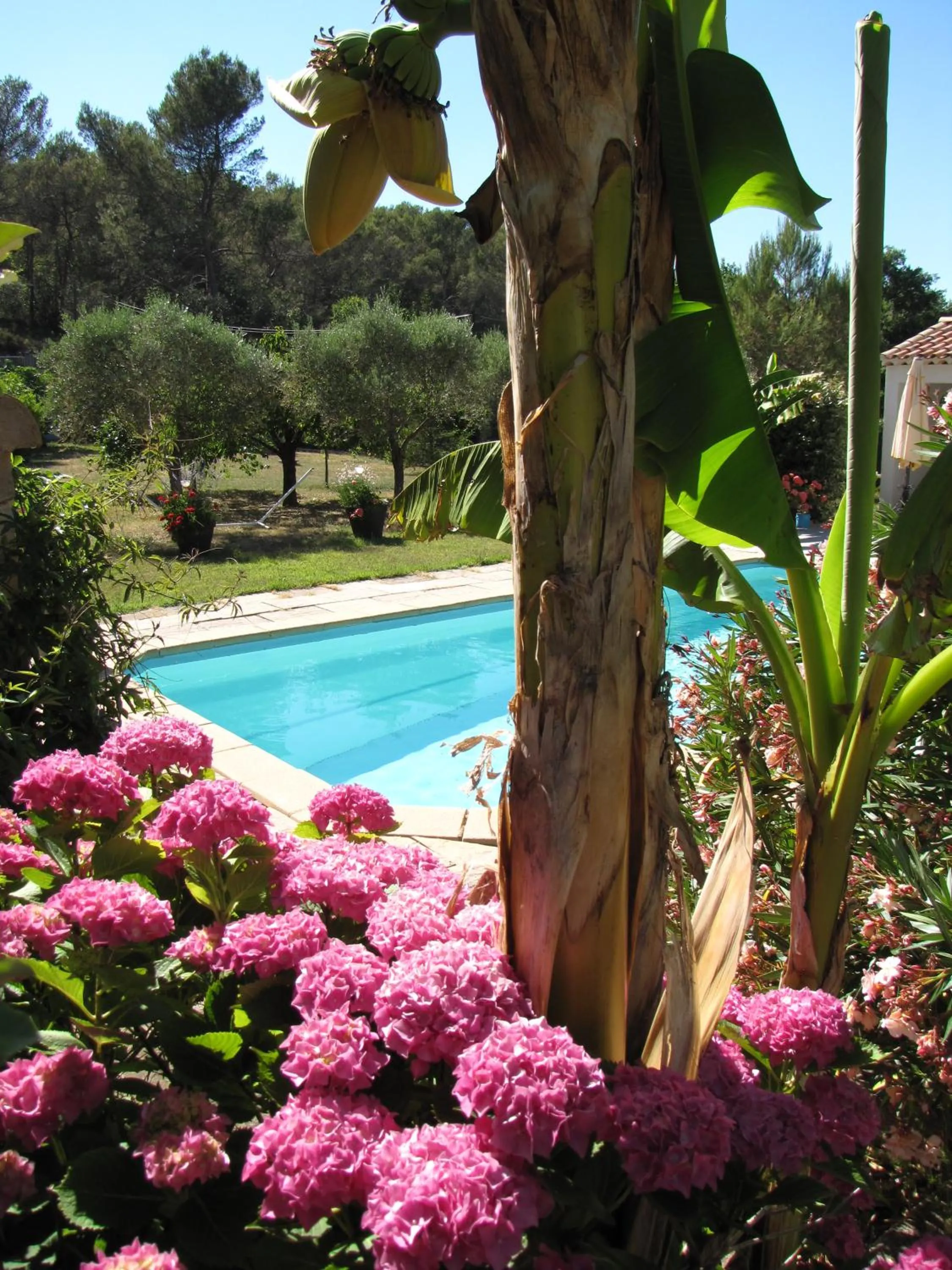 Garden in Casa Rurale Lou Pichoun Nis