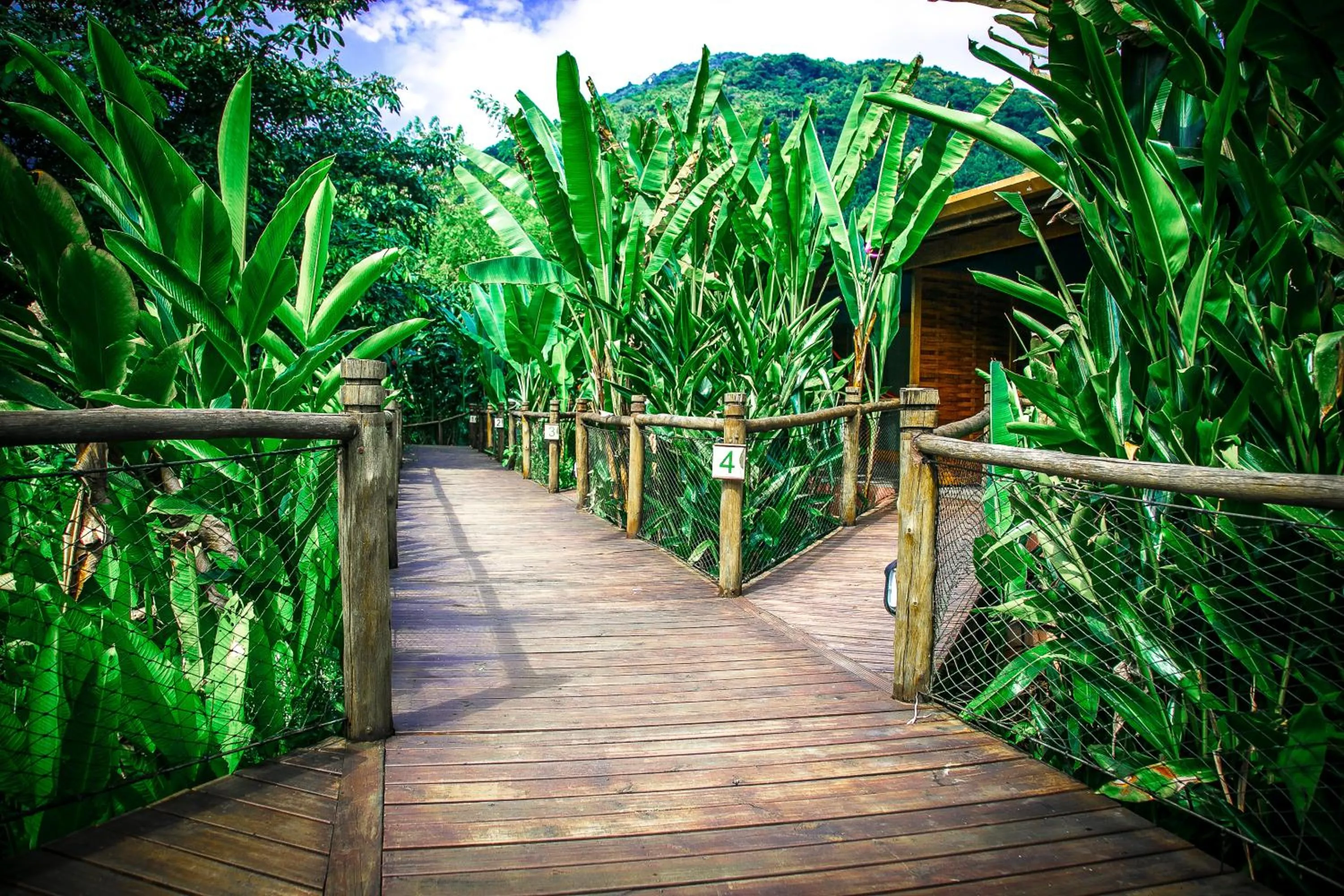 Natural landscape in Banana Bamboo Ecolodge