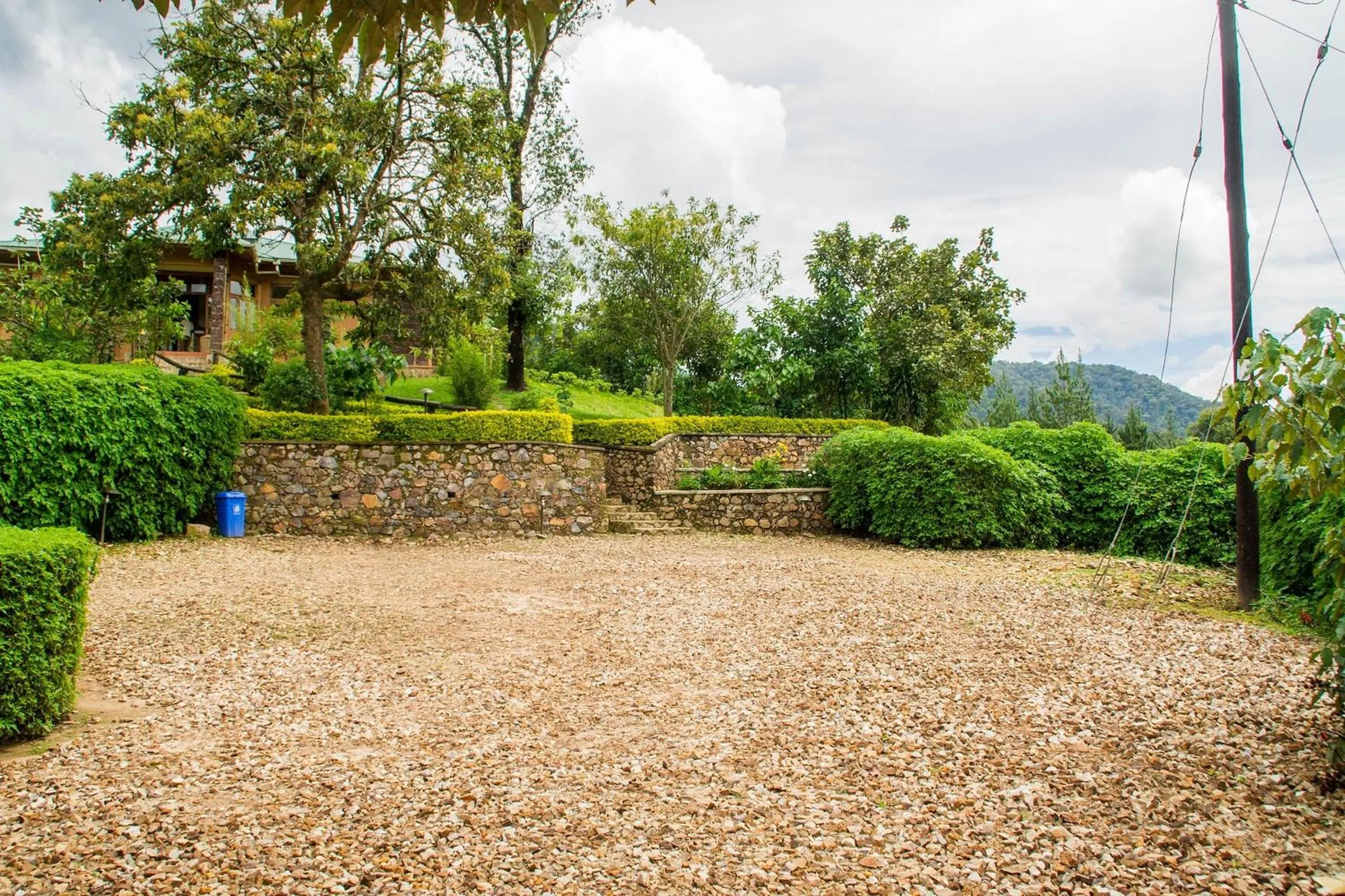 Garden in Ichumbi Gorilla Lodge