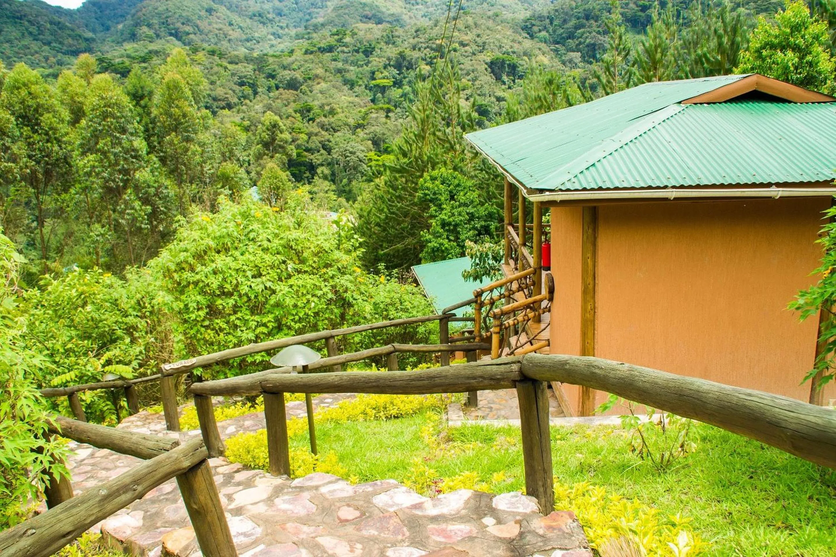 Property building in Ichumbi Gorilla Lodge