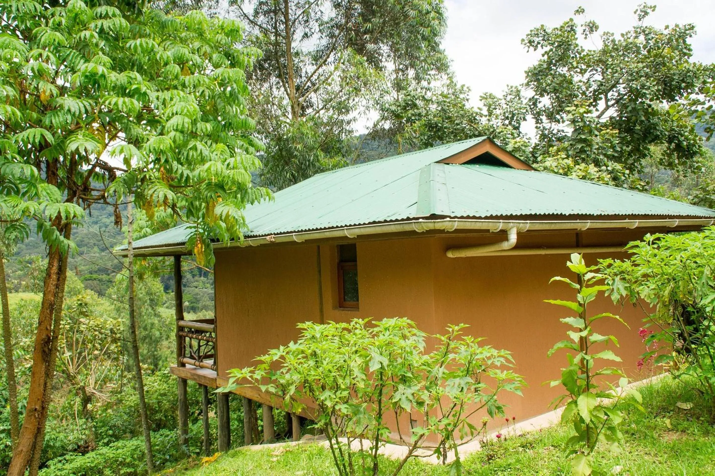 Property building in Ichumbi Gorilla Lodge