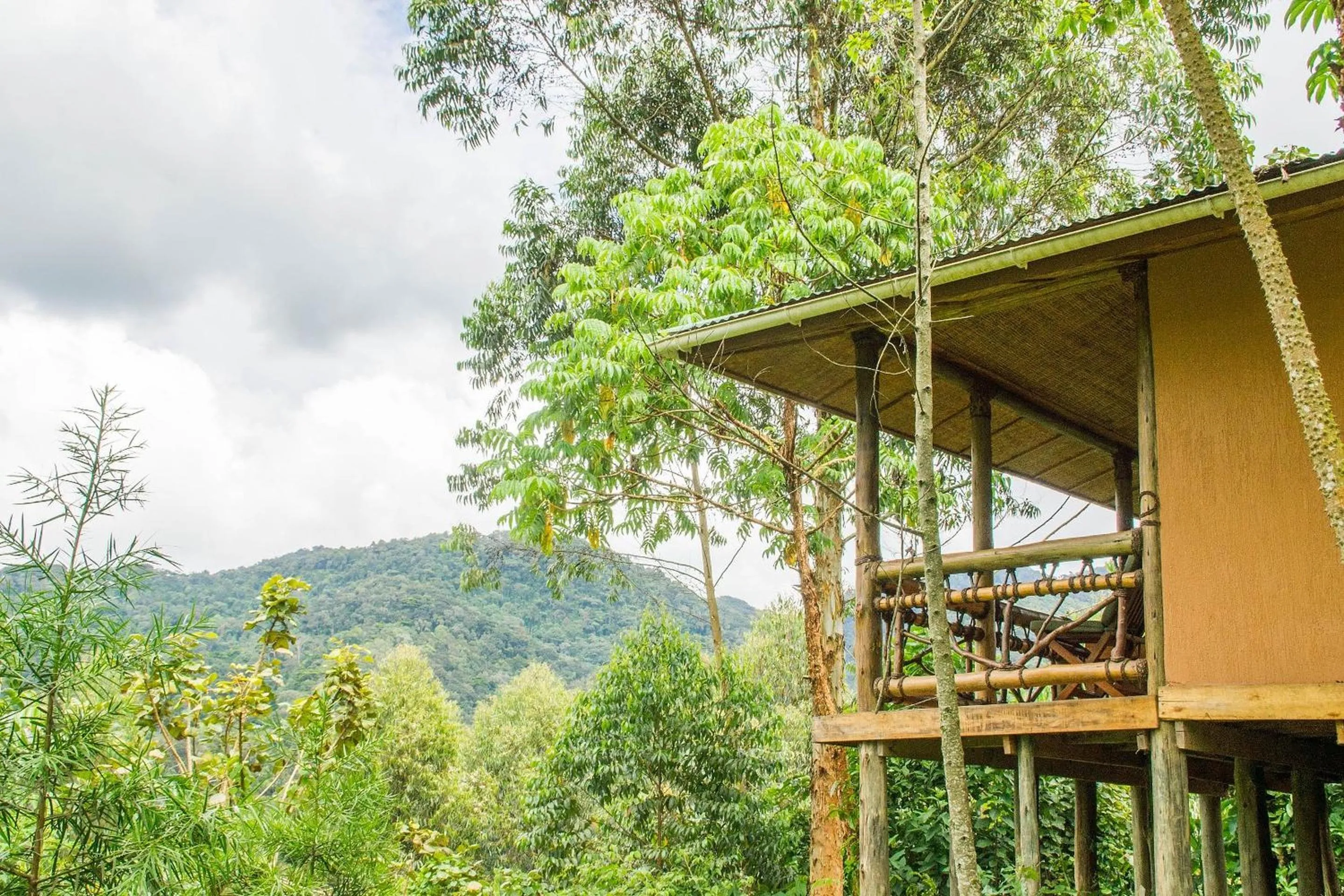 View (from property/room) in Ichumbi Gorilla Lodge